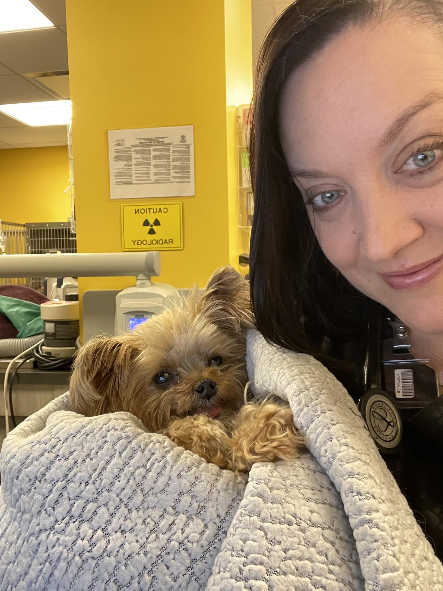 Animal Dental Clinic Aurora