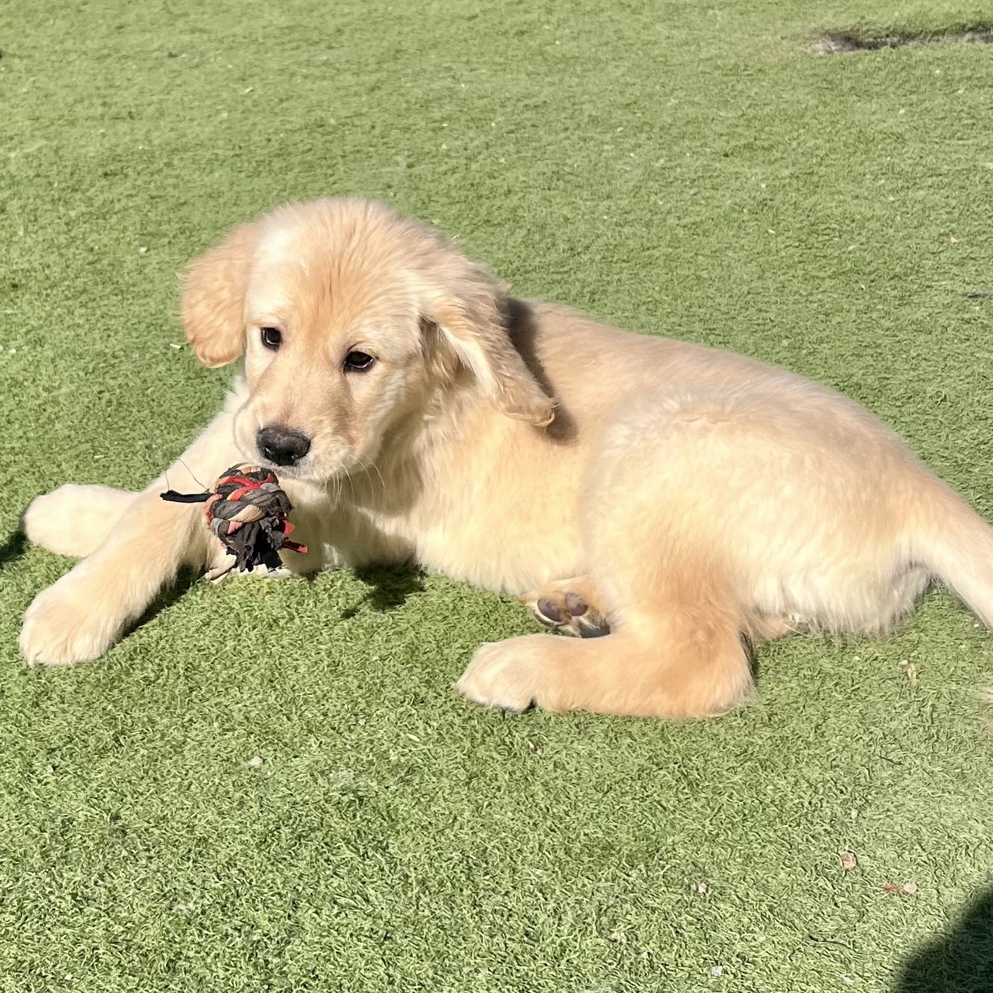 Murphy Creek Ranch & Pet Resort Aurora