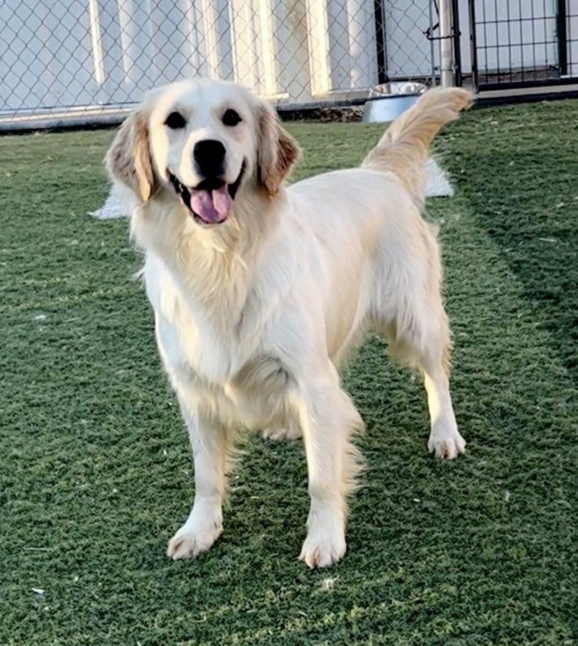 Murphy Creek Ranch & Pet Resort Aurora