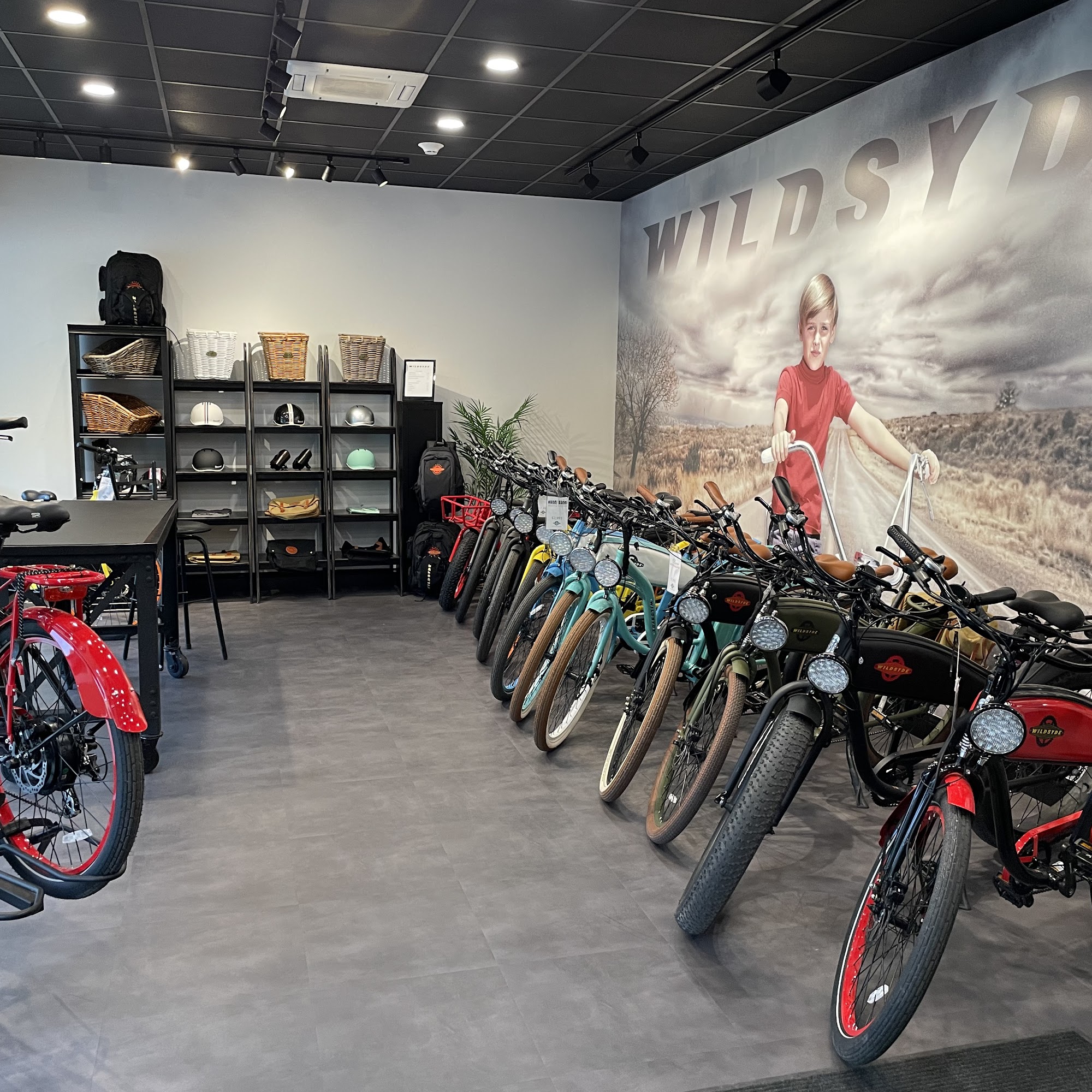 Wildsyde Electric Bikes Avon