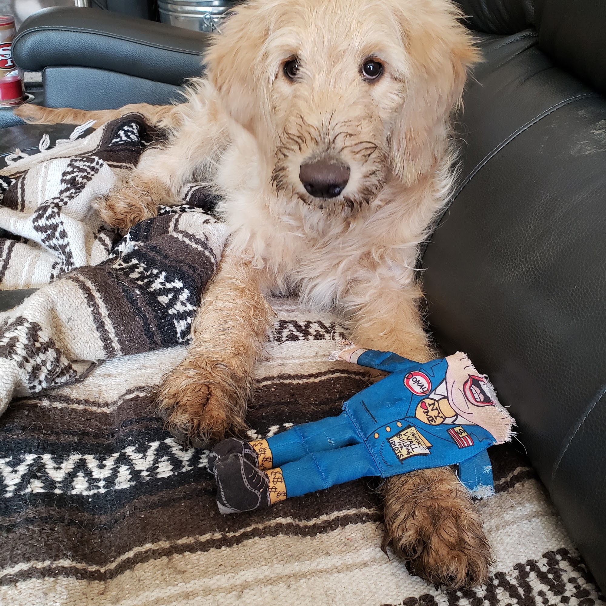 Lone Rock Veterinary Hospital Bailey