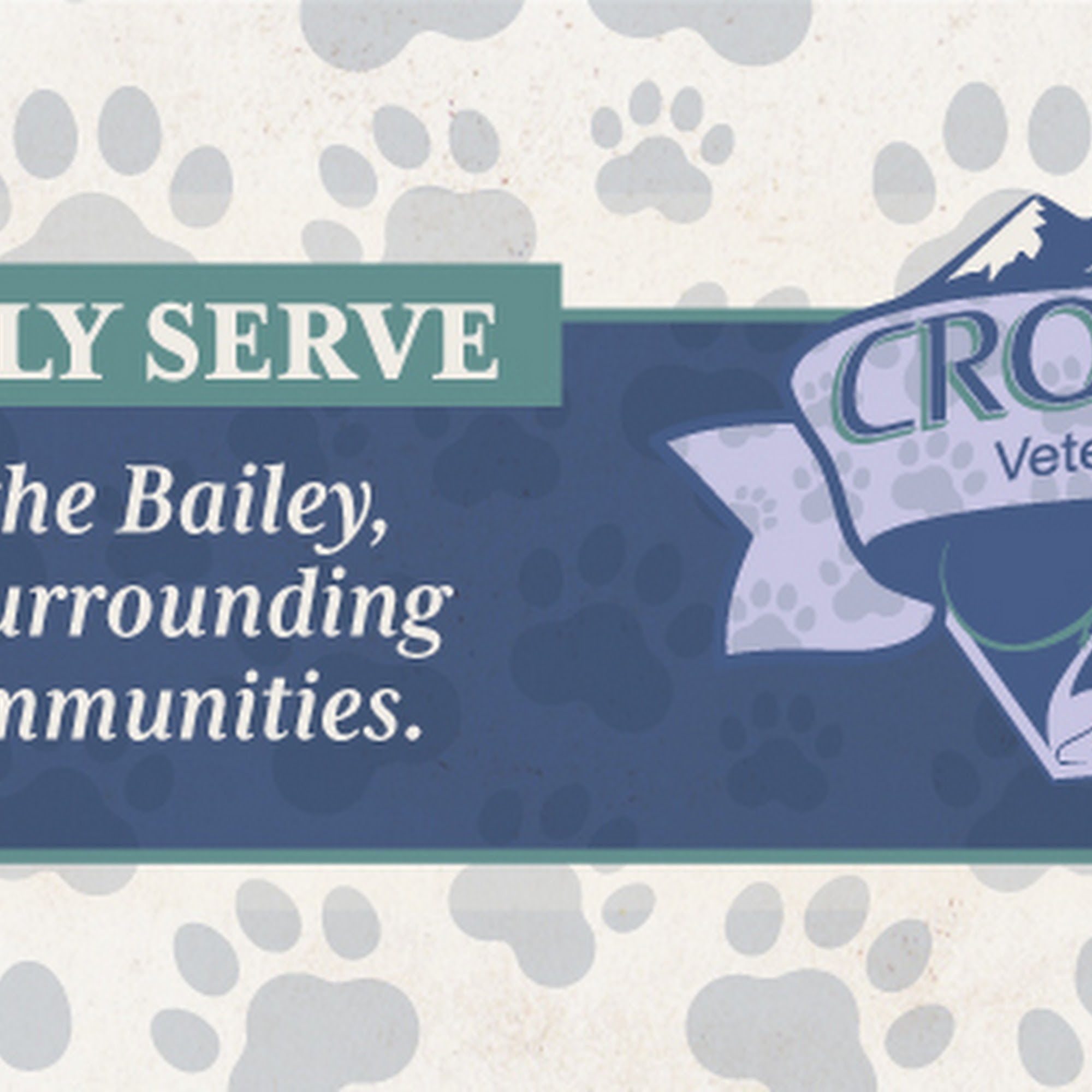 Crow Hill Veterinary Hospital Bailey