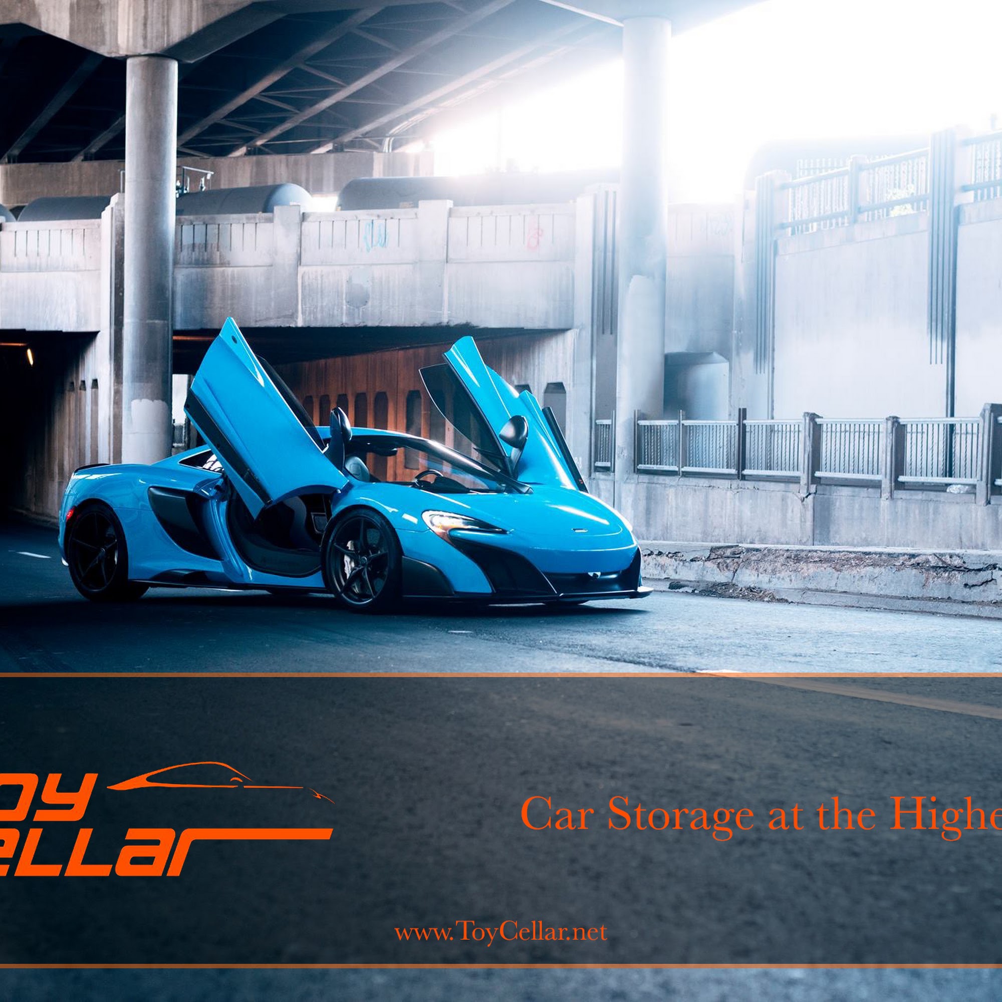 Toy Cellar Aspen Basalt