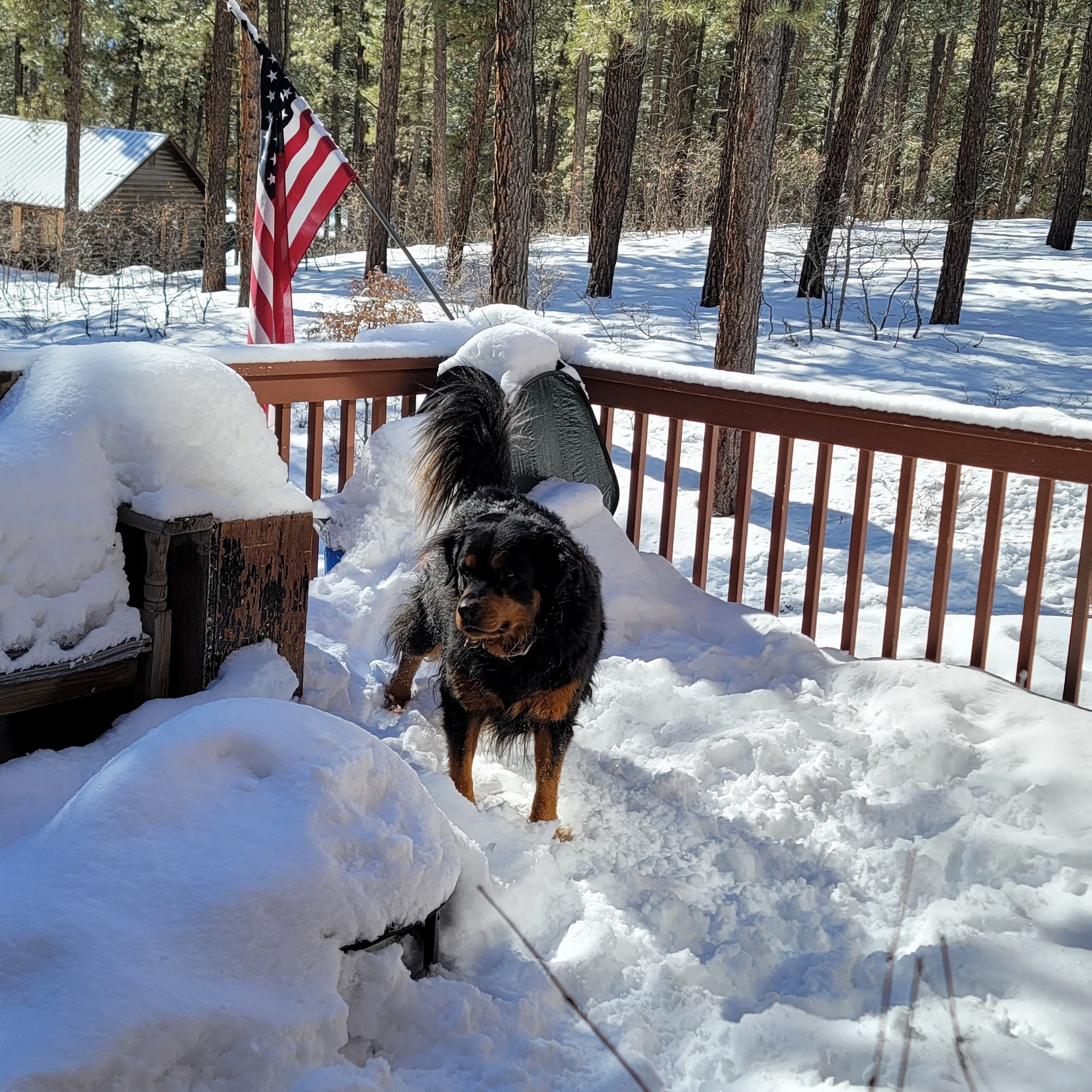 Baxstrom Harry DVM Bayfield