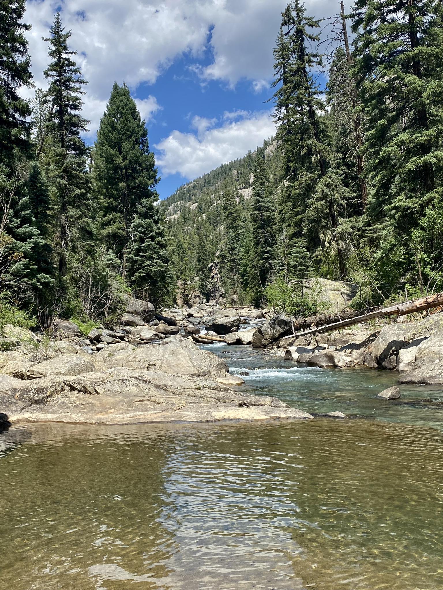 Pine River Animal Aftercare