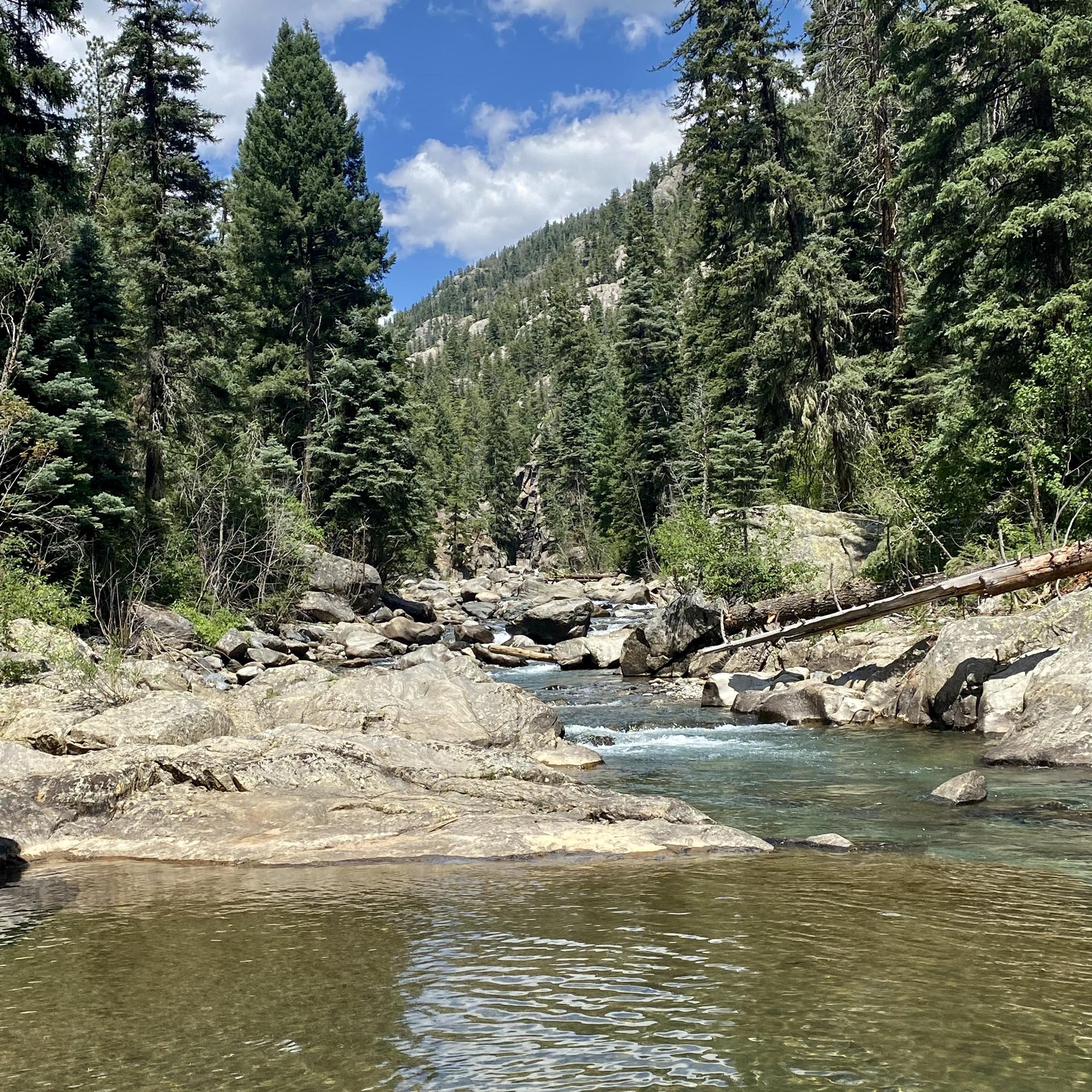 Pine River Animal Aftercare