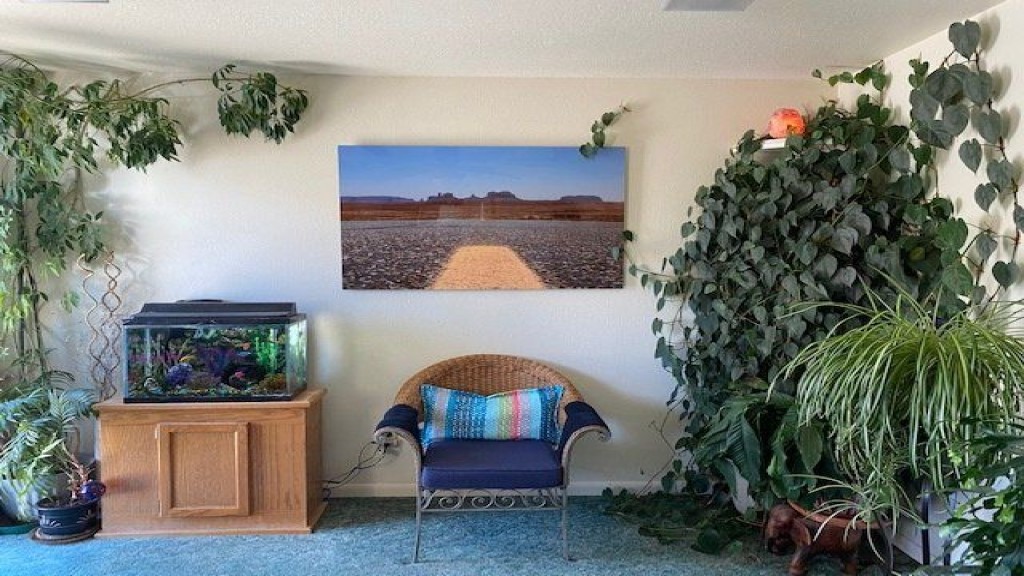 Pine River Chiropractic, Massage & Acupuncture