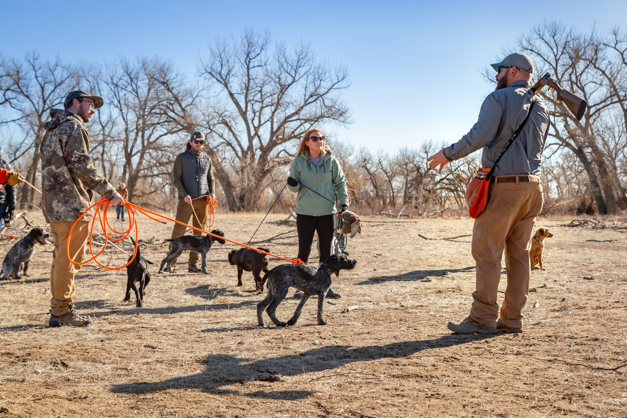 Valhalla Hunt Club & Kennels Bennett