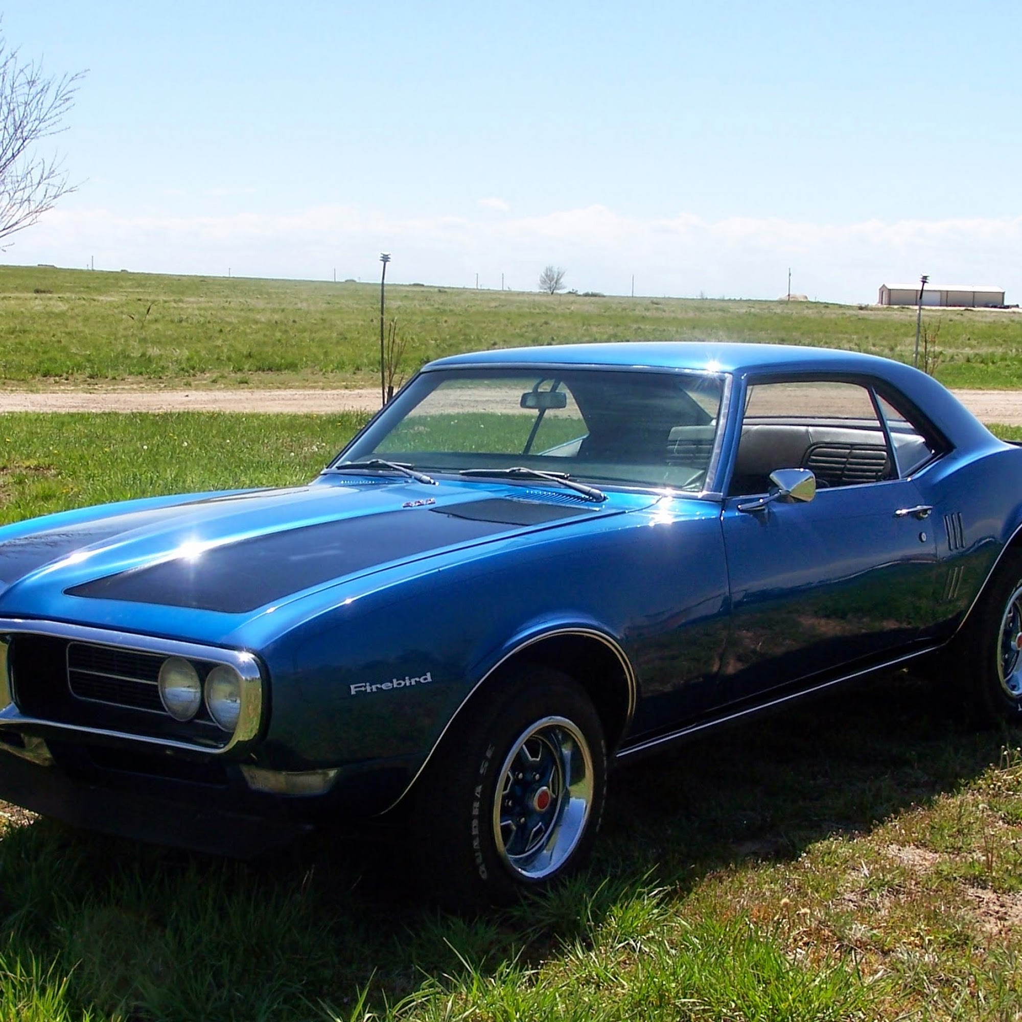 Taylor's Body and Frame Bennett