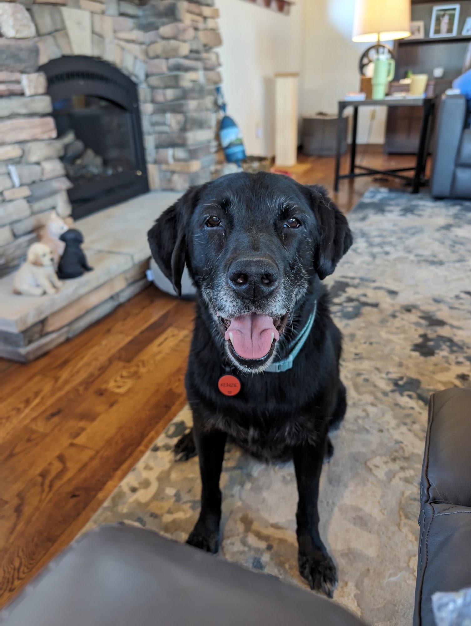 Berthoud Animal Hospital Berthoud