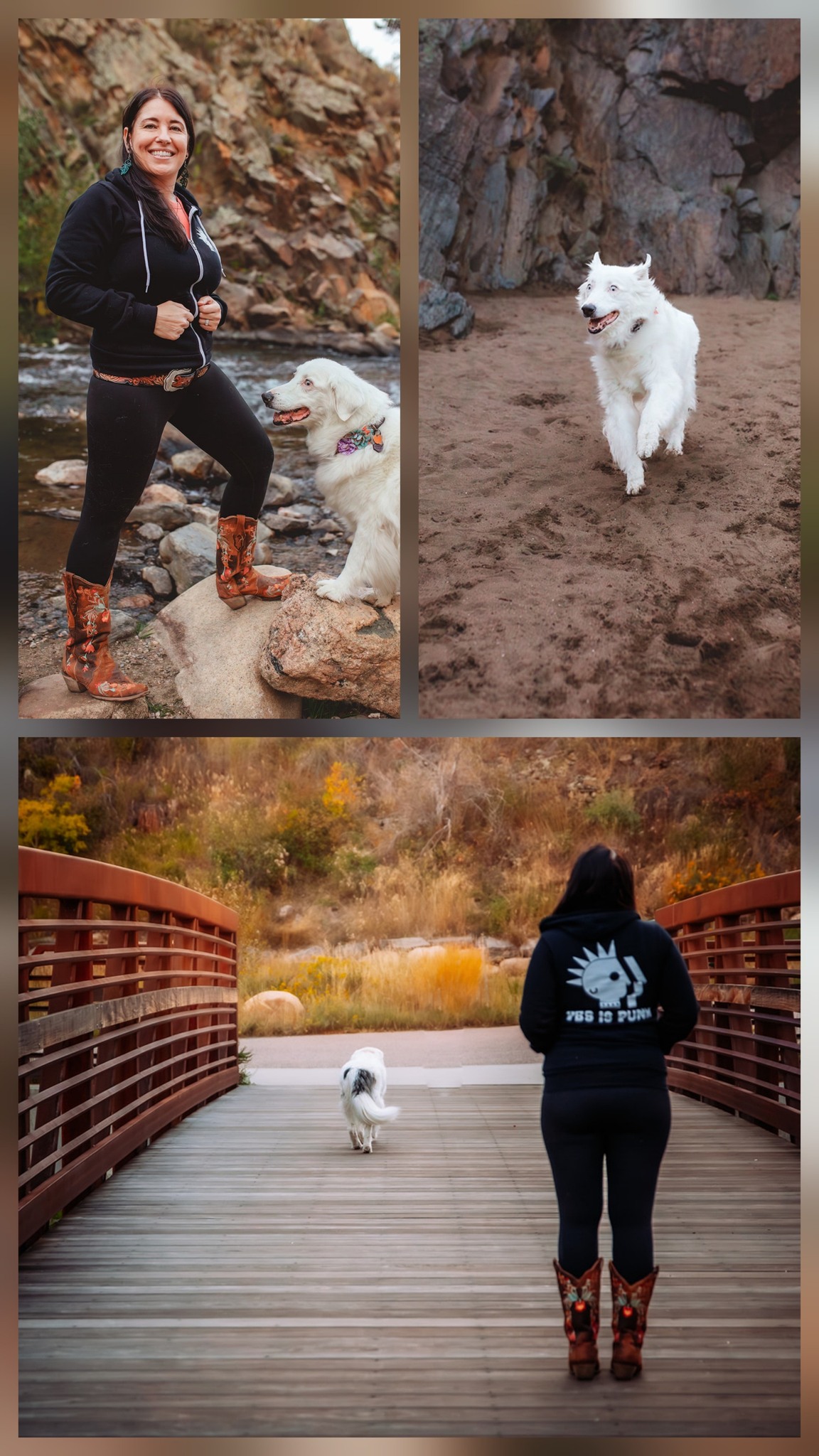 K9 Wisdom Training & Consulting, LLC. Berthoud