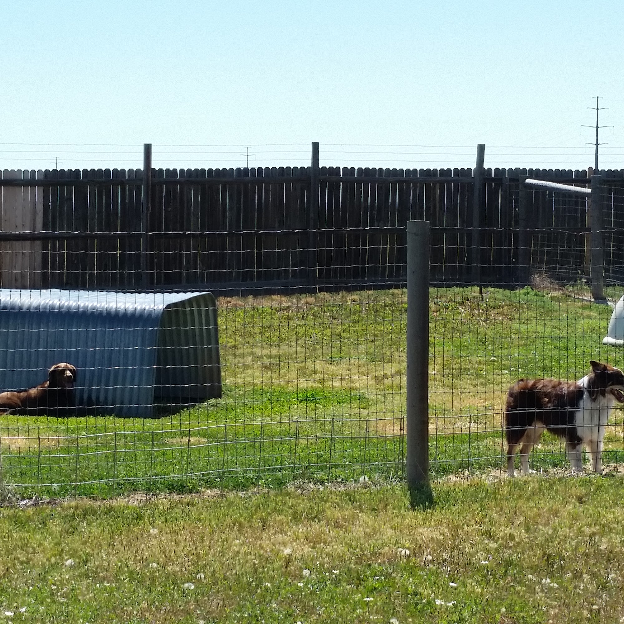 Barcar Acres Pet Resort Berthoud