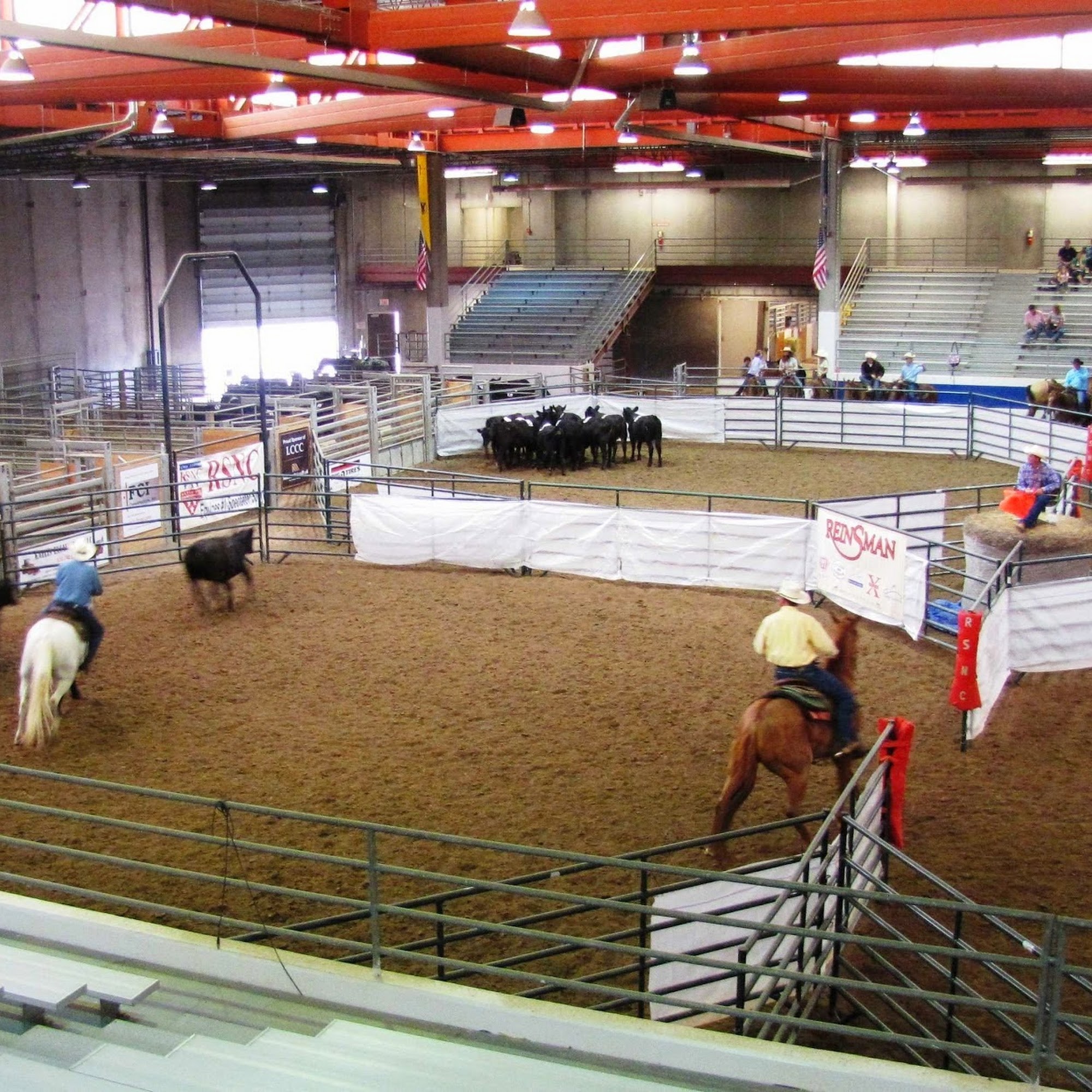 Wyoming Equine & Bruce A. Connally DVM, MS Berthoud