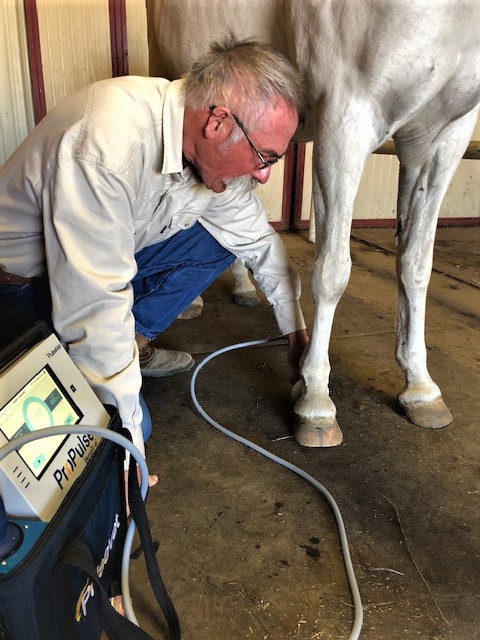 Wyoming Equine & Bruce A. Connally DVM, MS Berthoud