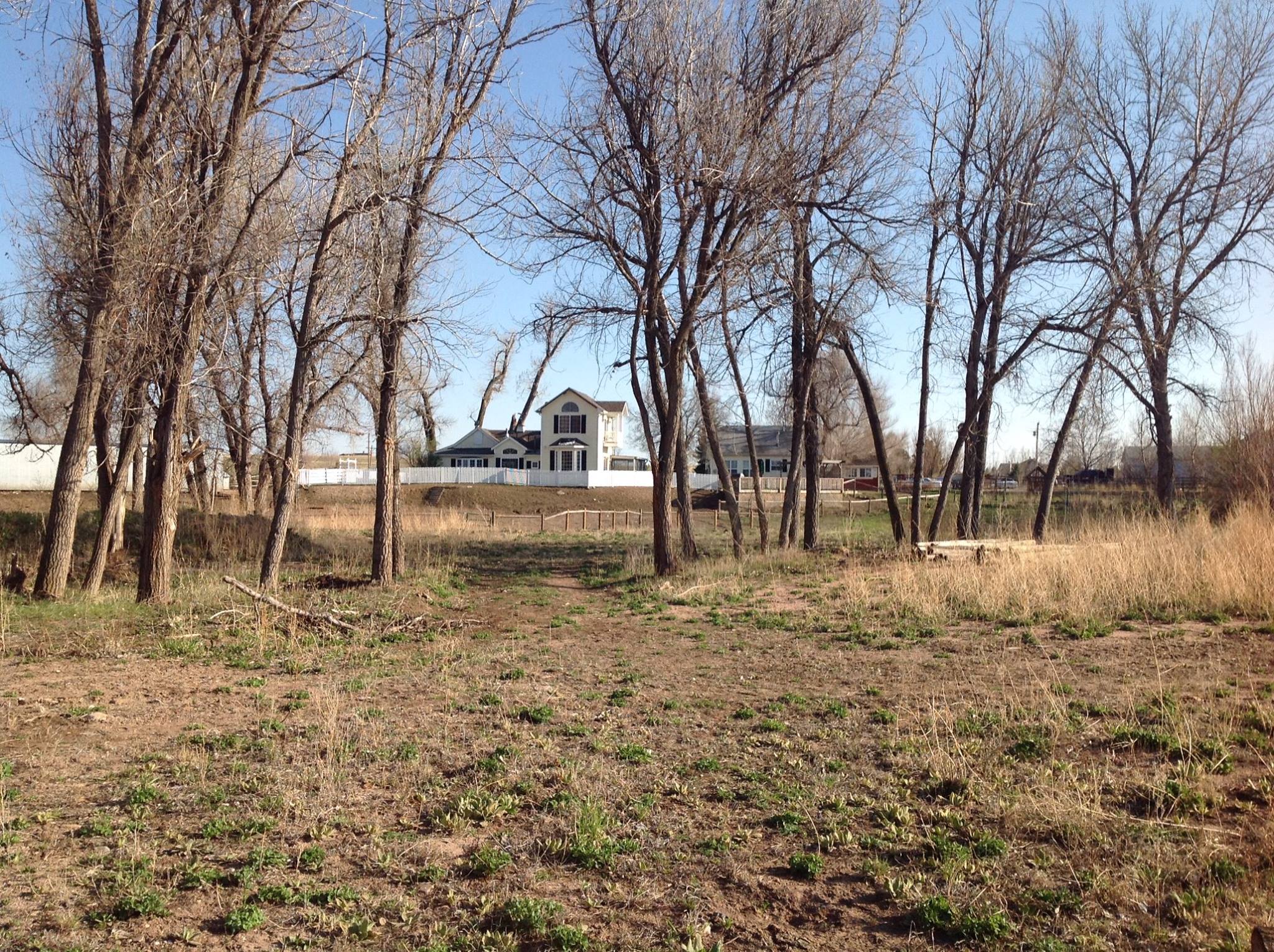 Golden Hollow Farms Berthoud