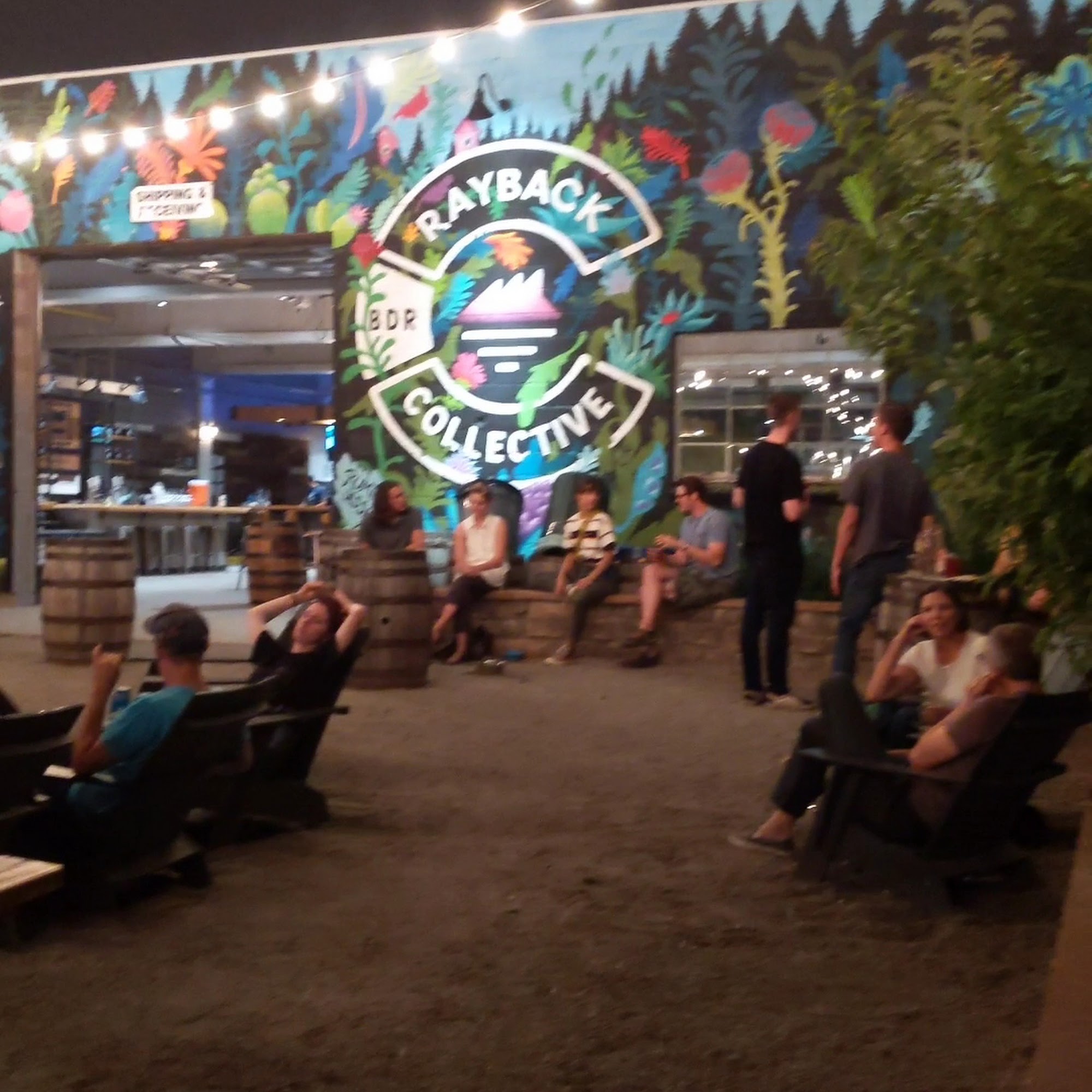 Rayback Collective Boulder