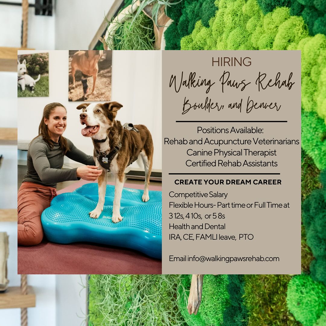 Walking Paws Rehab Boulder