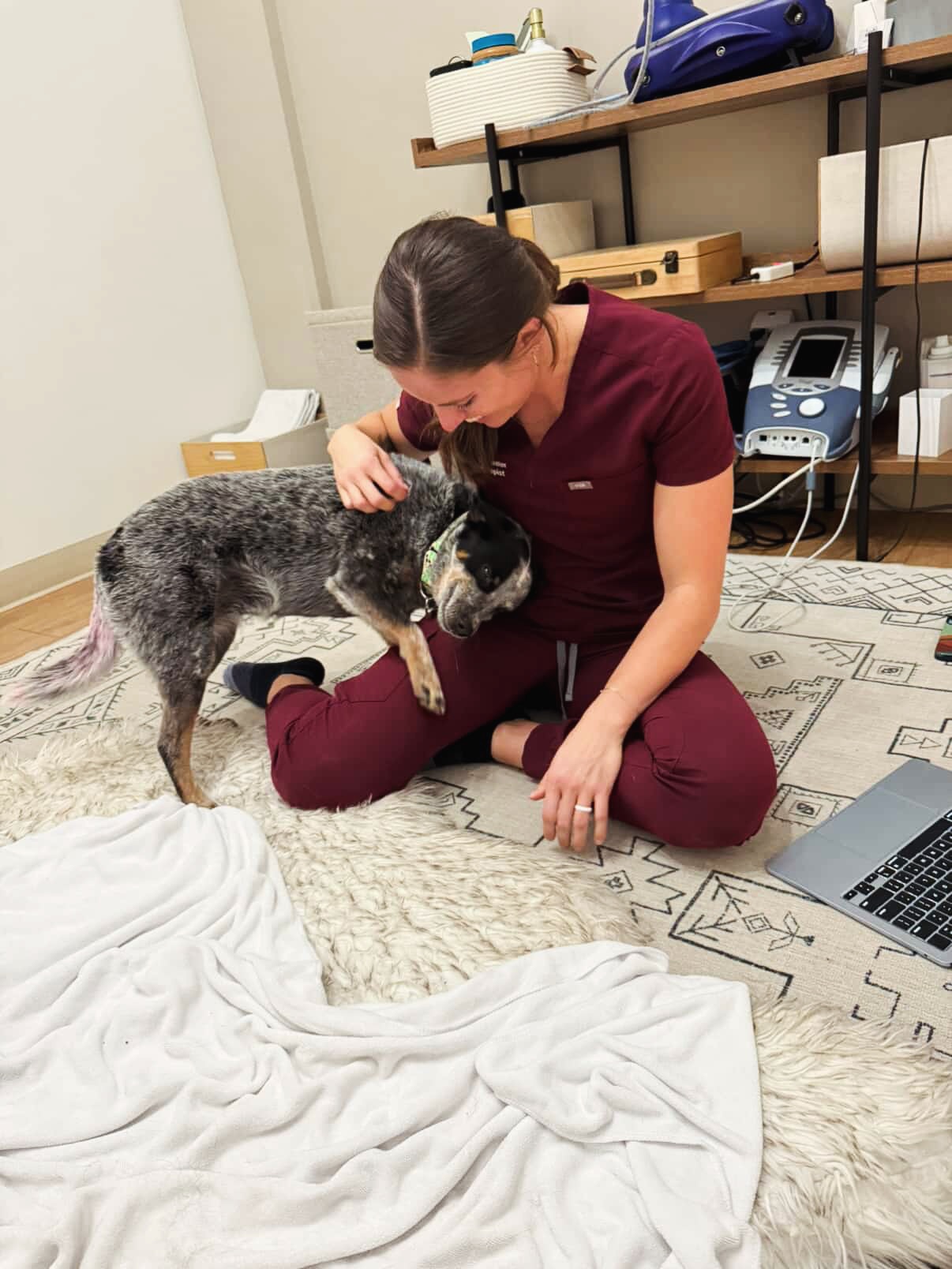 Walking Paws Rehab Boulder