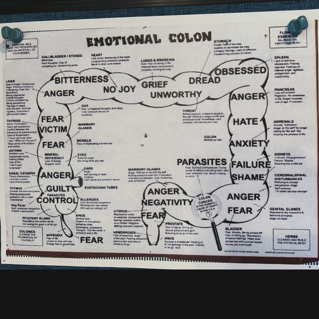 Boulder Holistic Health