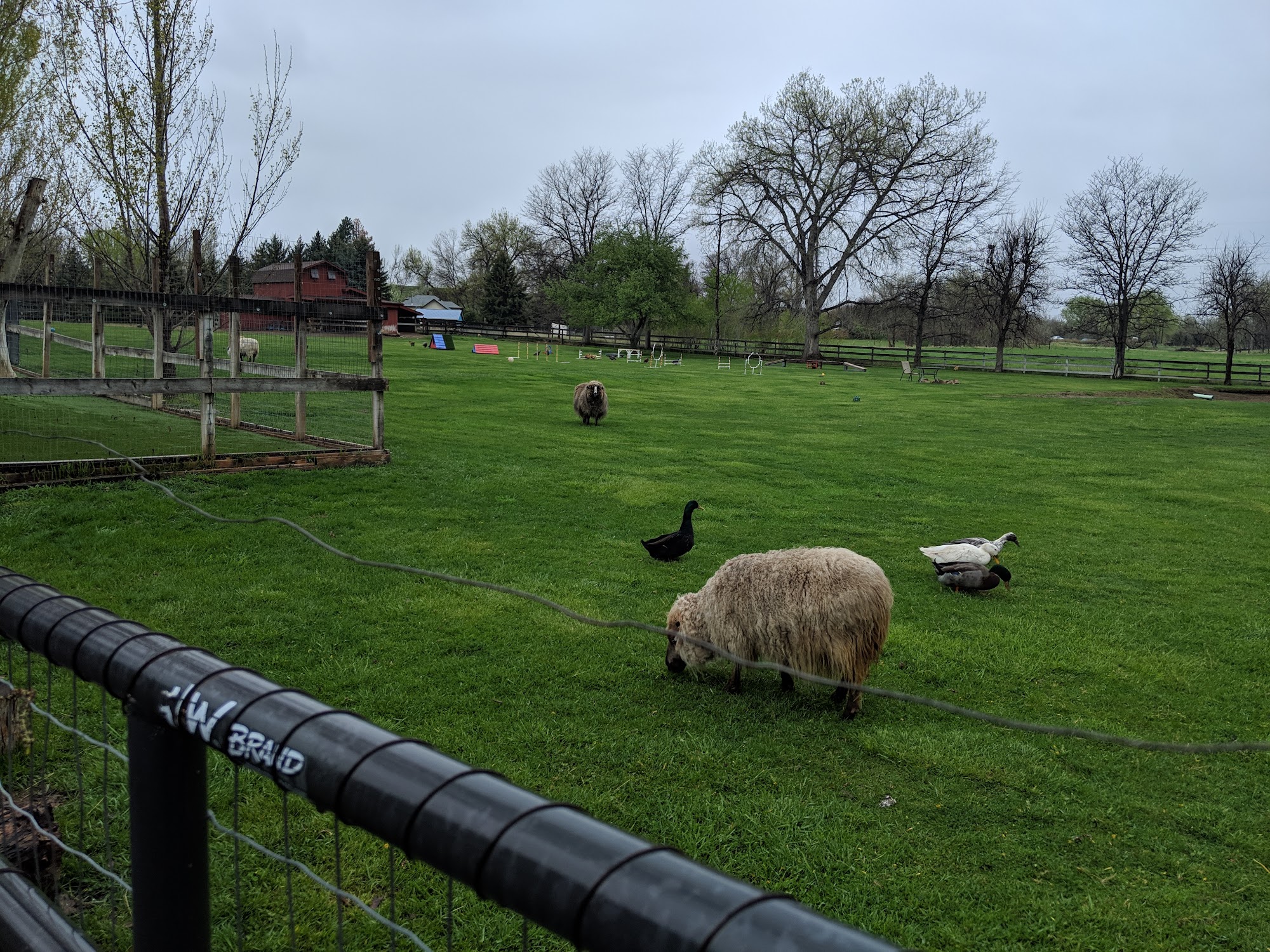 Cottonwood Kennels Boulder