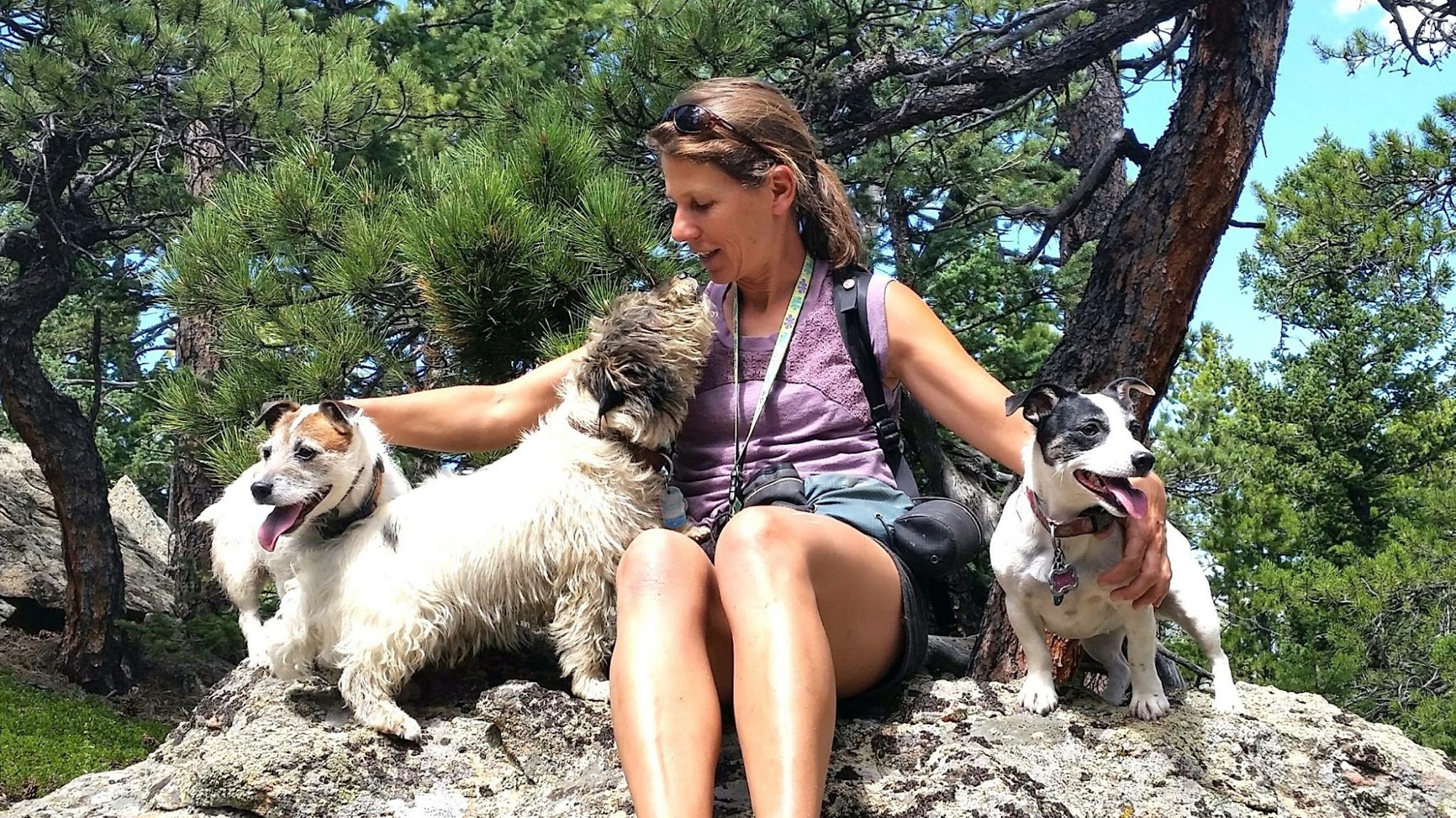 Boulder Doggie Adventures & Pet Sitting Boulder