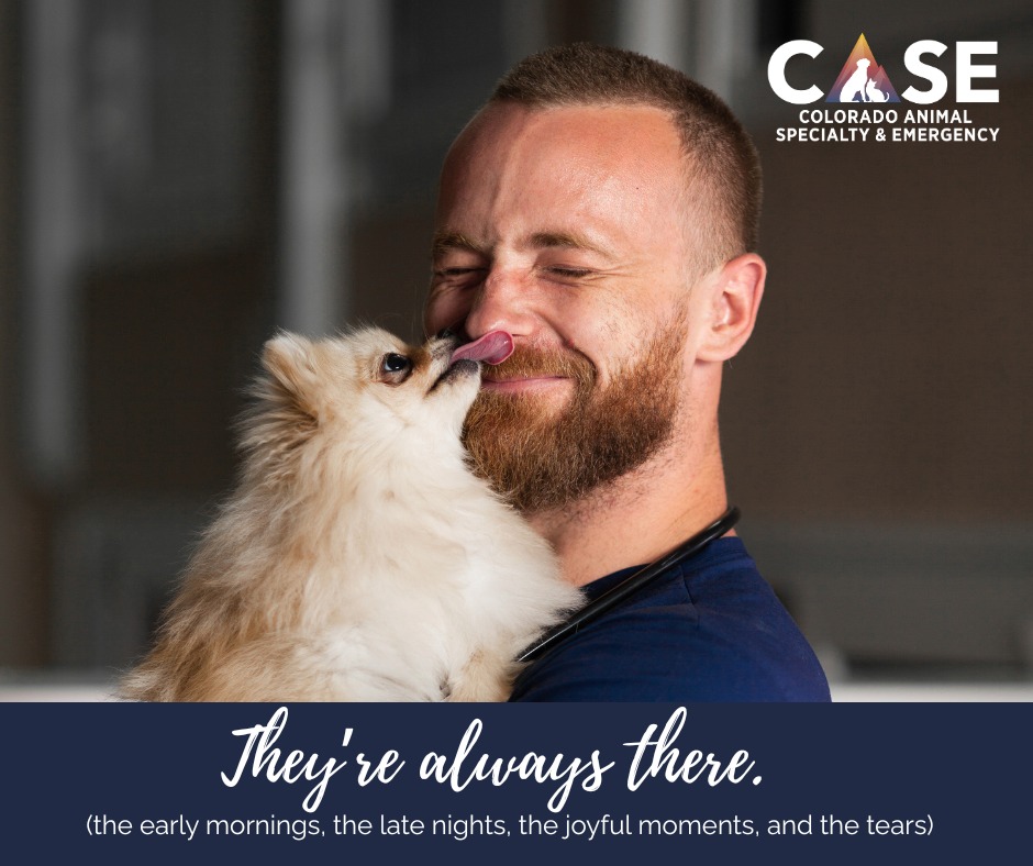 Colorado Animal Specialty & Emergency (CASE) Boulder