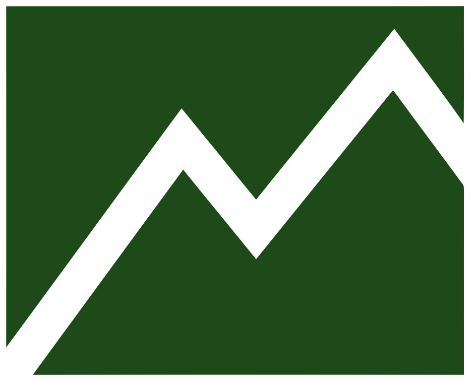 Financial Mountain Inc