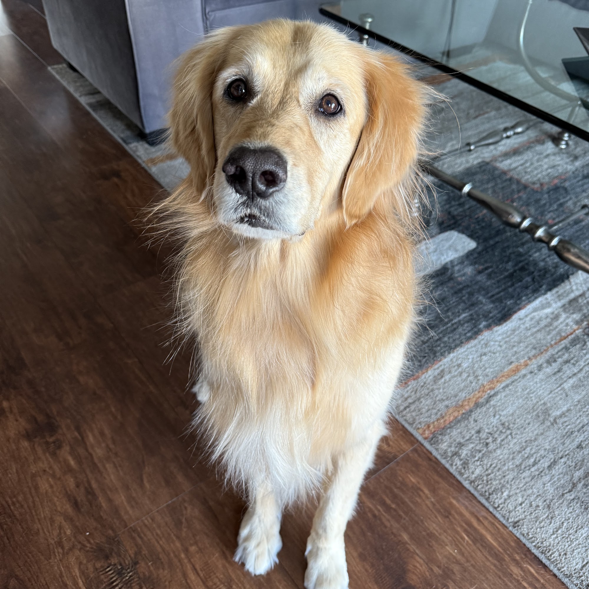 Gunbarrel Grooming Boulder