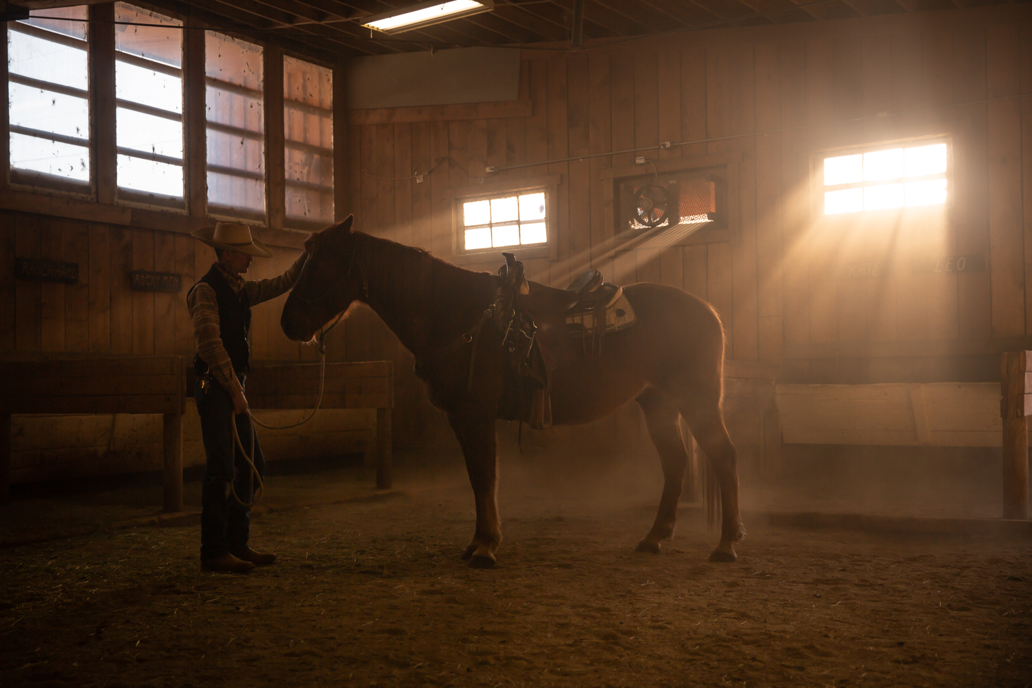 Wendy B. Photography