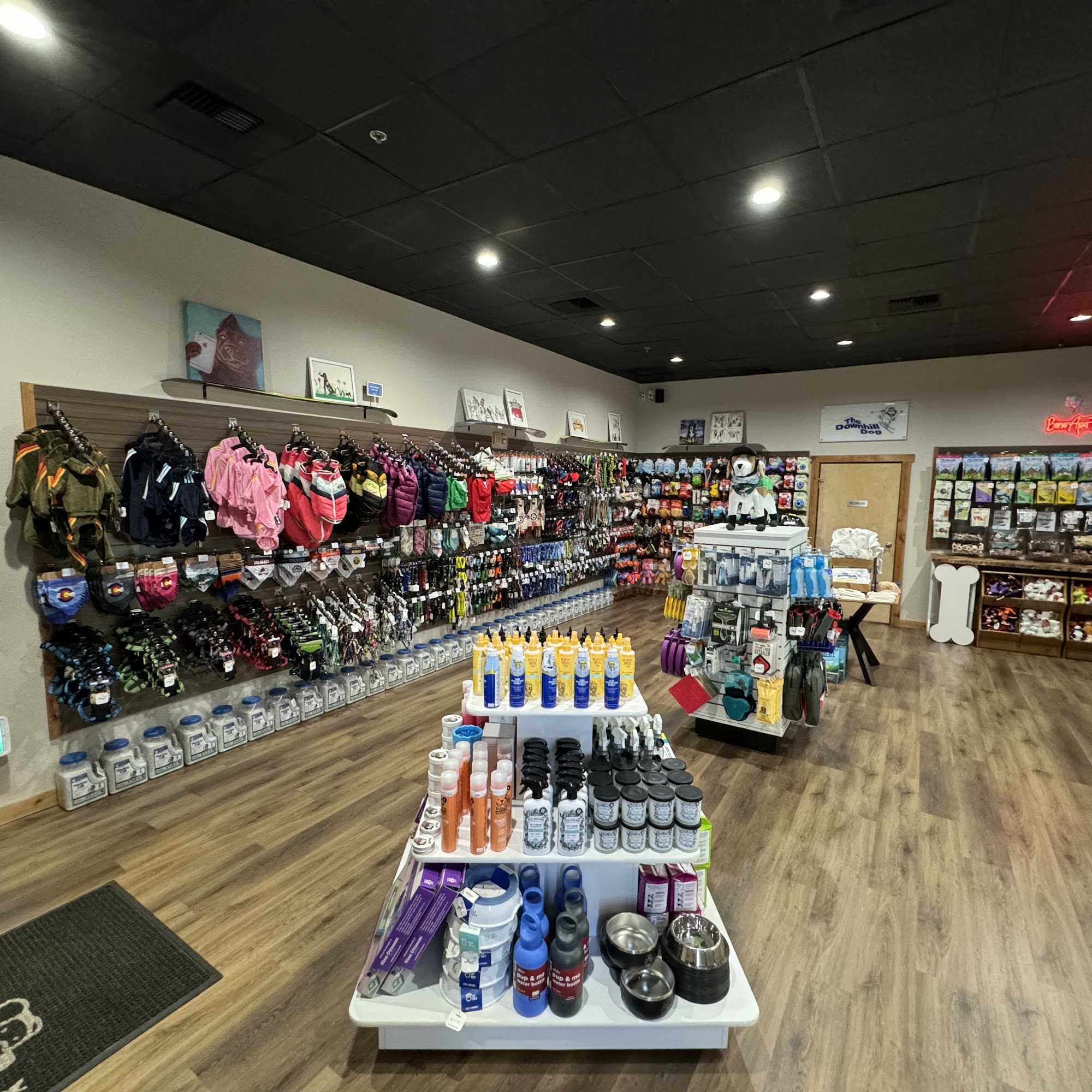 The Downhill Dog Breckenridge