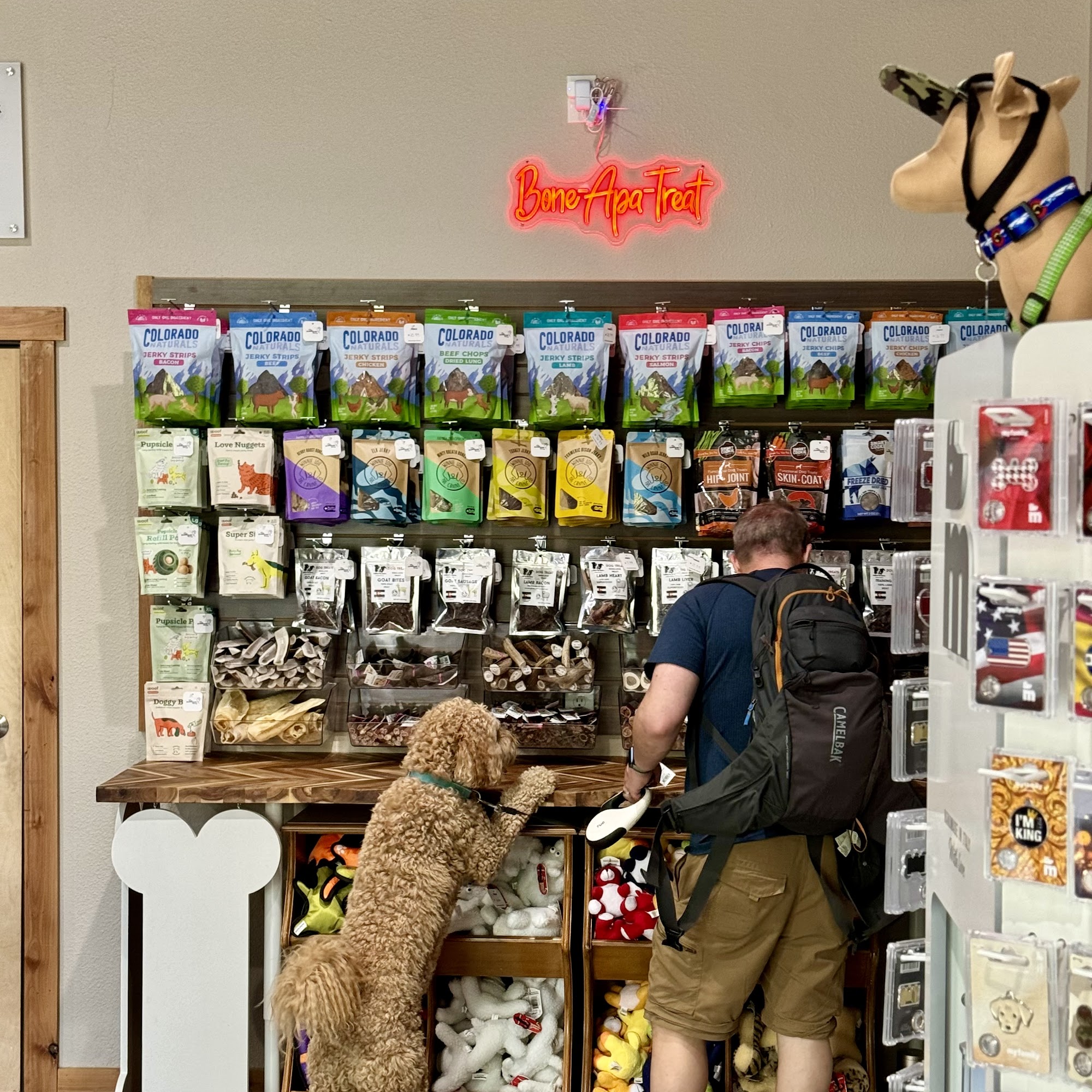 The Downhill Dog Breckenridge