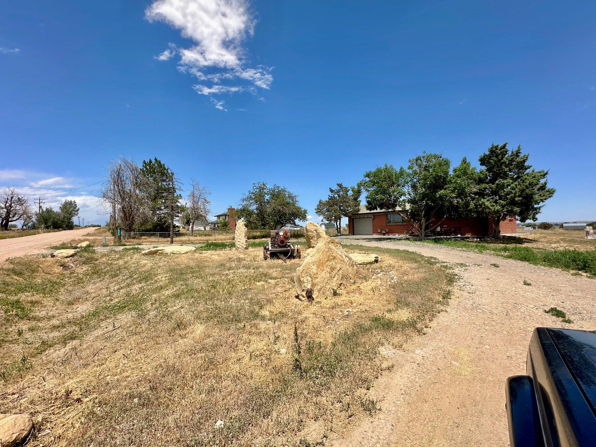 The Grateful Dog Pet Boarding Brighton