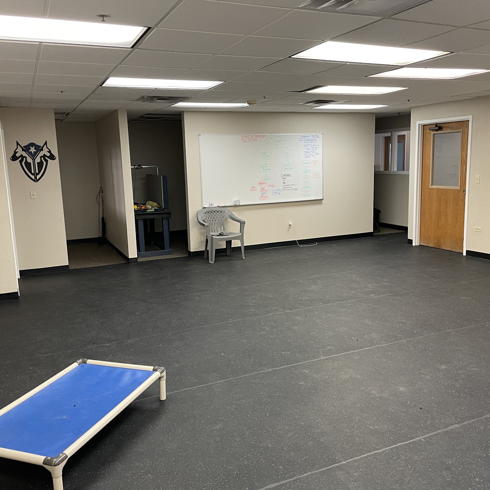 Complete Canine Training Brighton