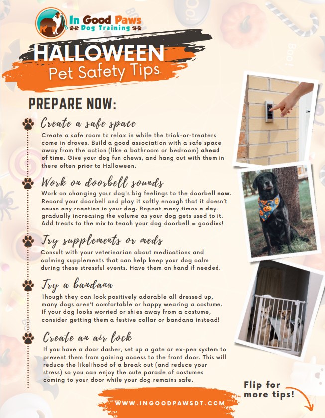 Wildflower Veterinary Hospital Brighton