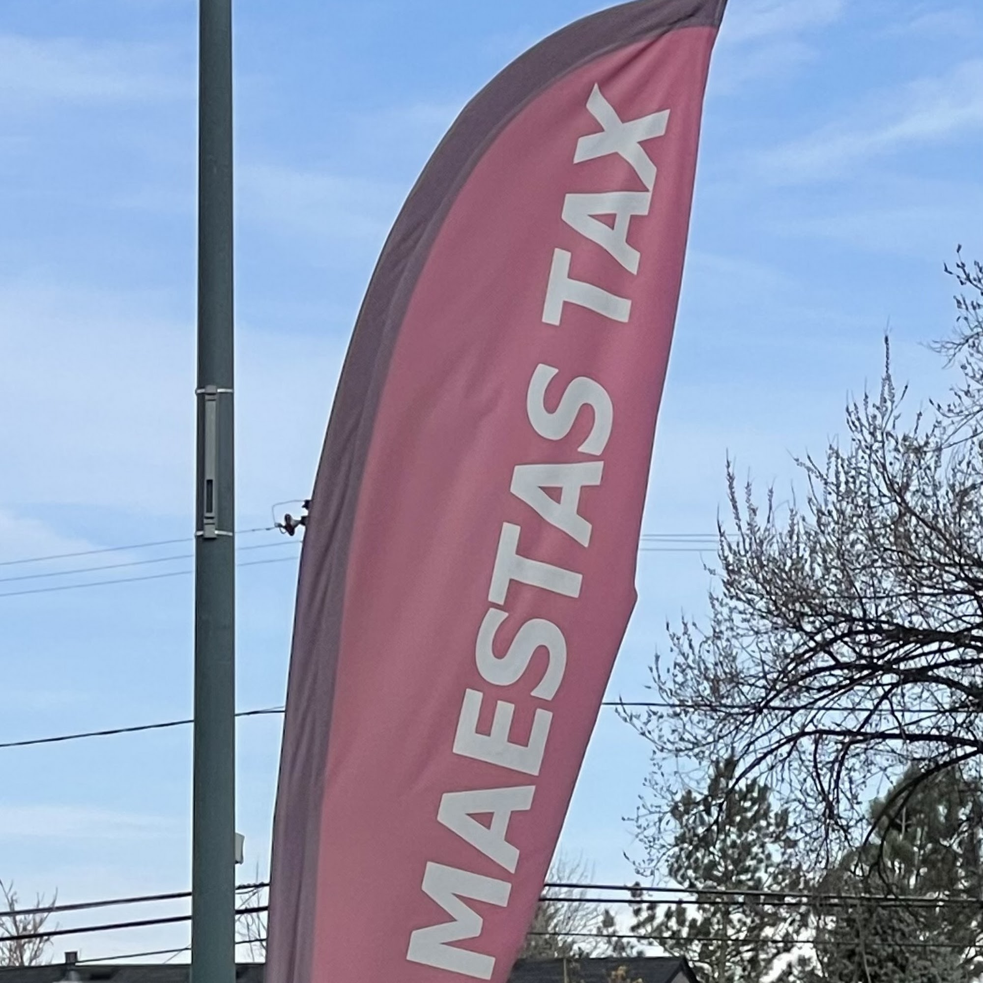 Maestas Tax Service LLC