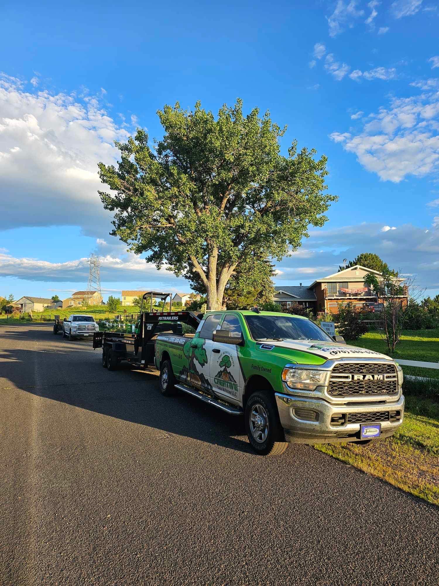 Creative Tree & Stump LLC 474 S 36th Ave, Brighton Colorado 80601