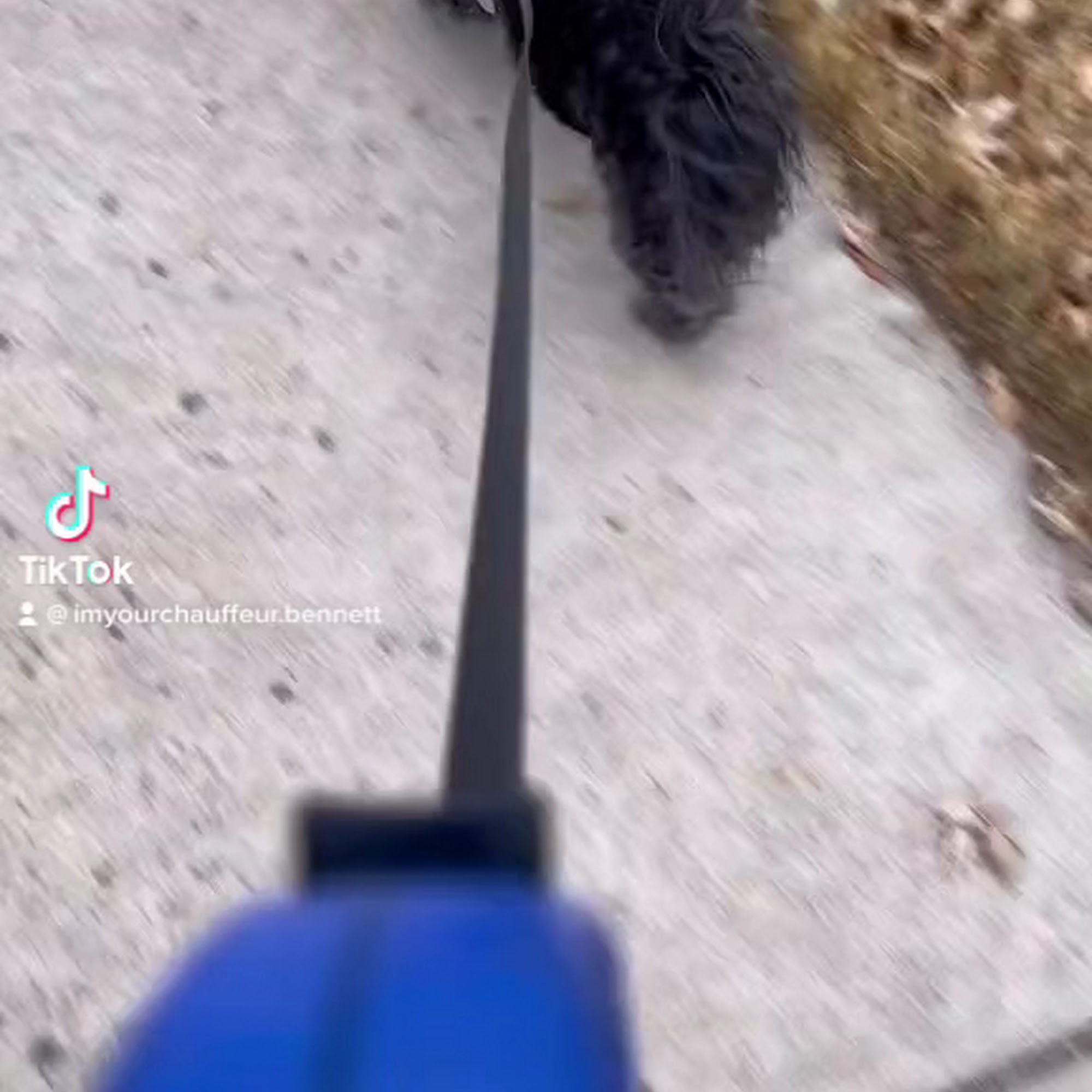 Broomfield Veterinary Hospital Broomfield