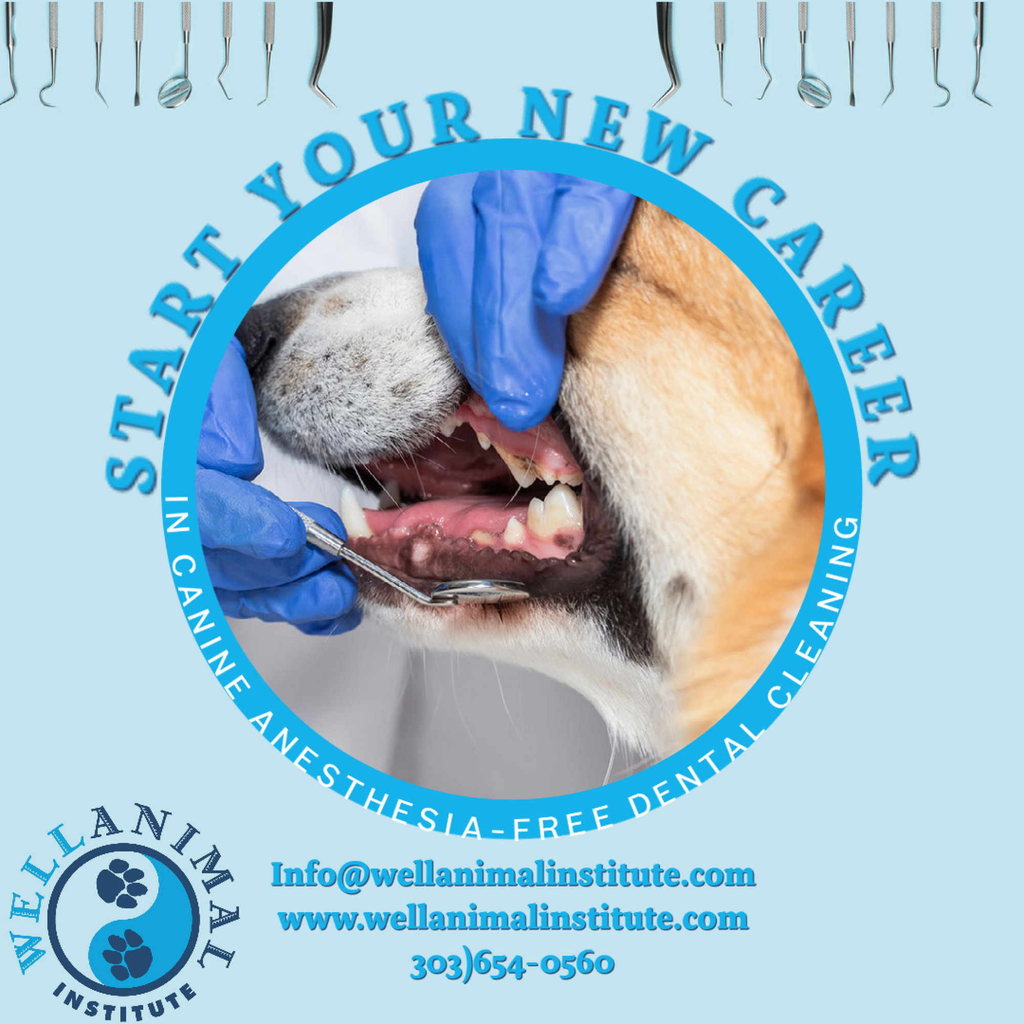 Well Animal Institute Broomfield