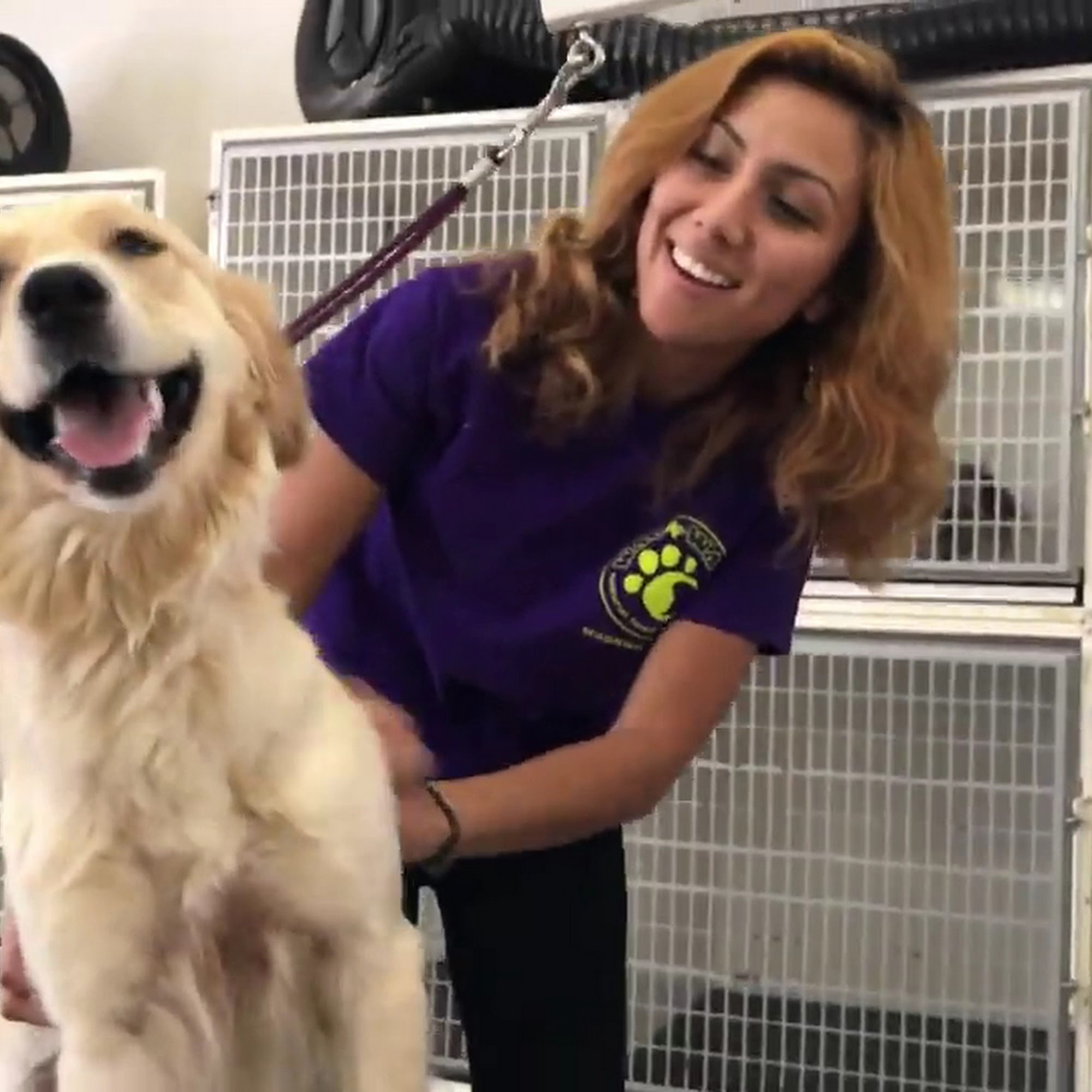 Wag N' Wash Natural Pet Food & Grooming Broomfield