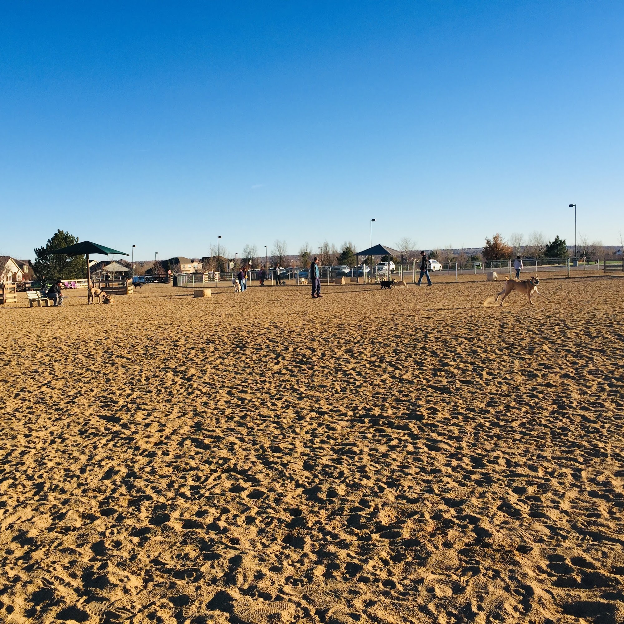 Broomfield Commons Dog Park Broomfield