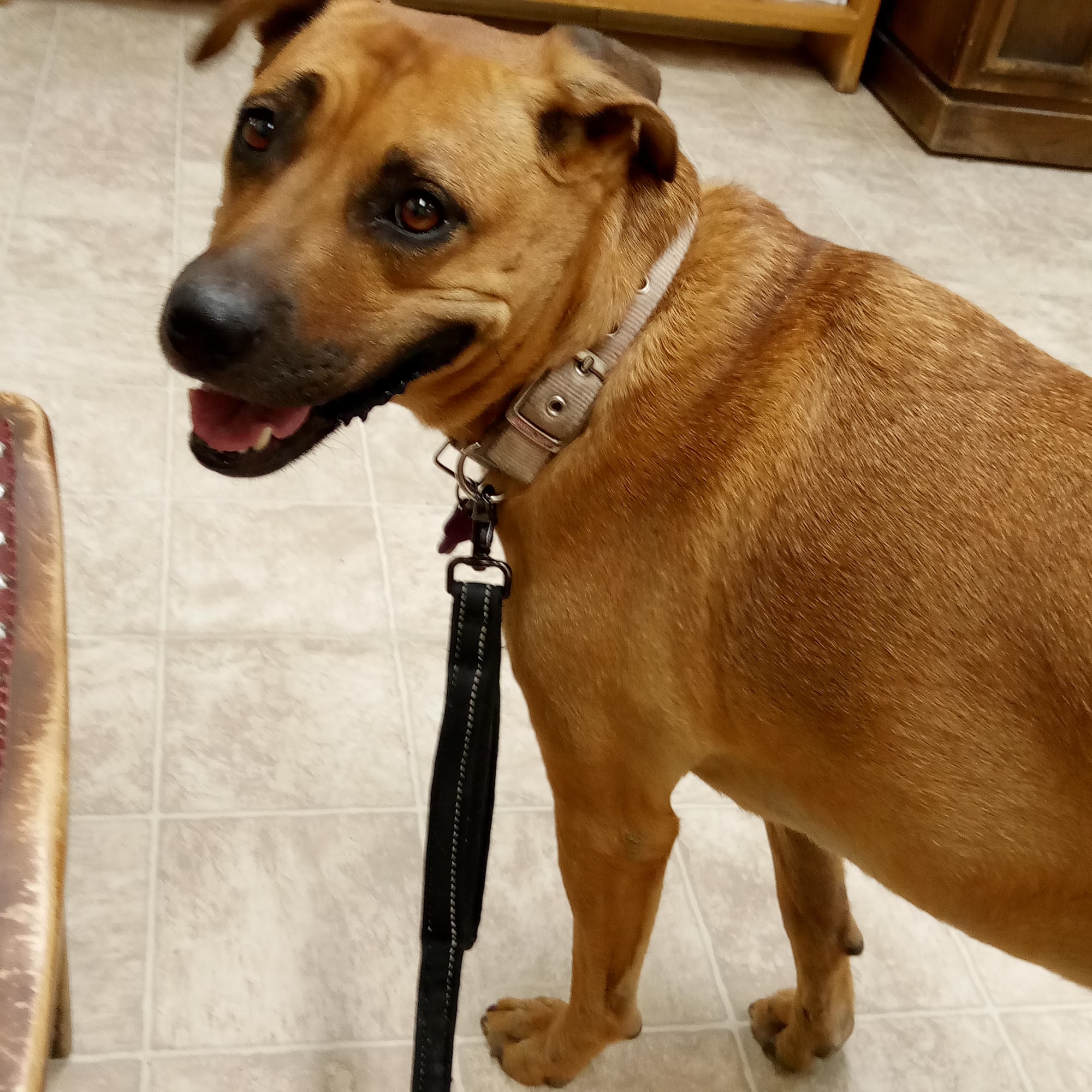 Kenline Veterinary Clinic Cañon City