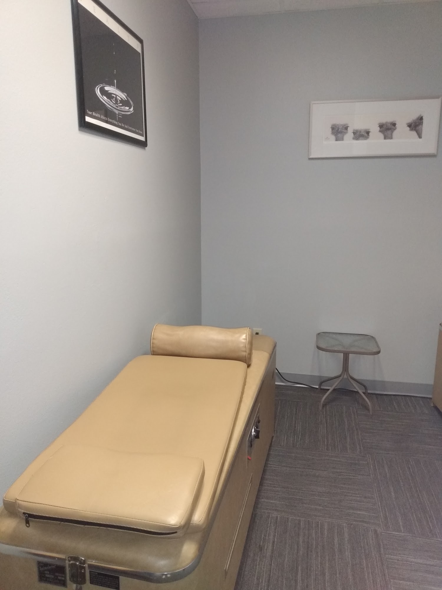 Ottersberg Chiropractic 3055 US-50, Cañon City Colorado 81212