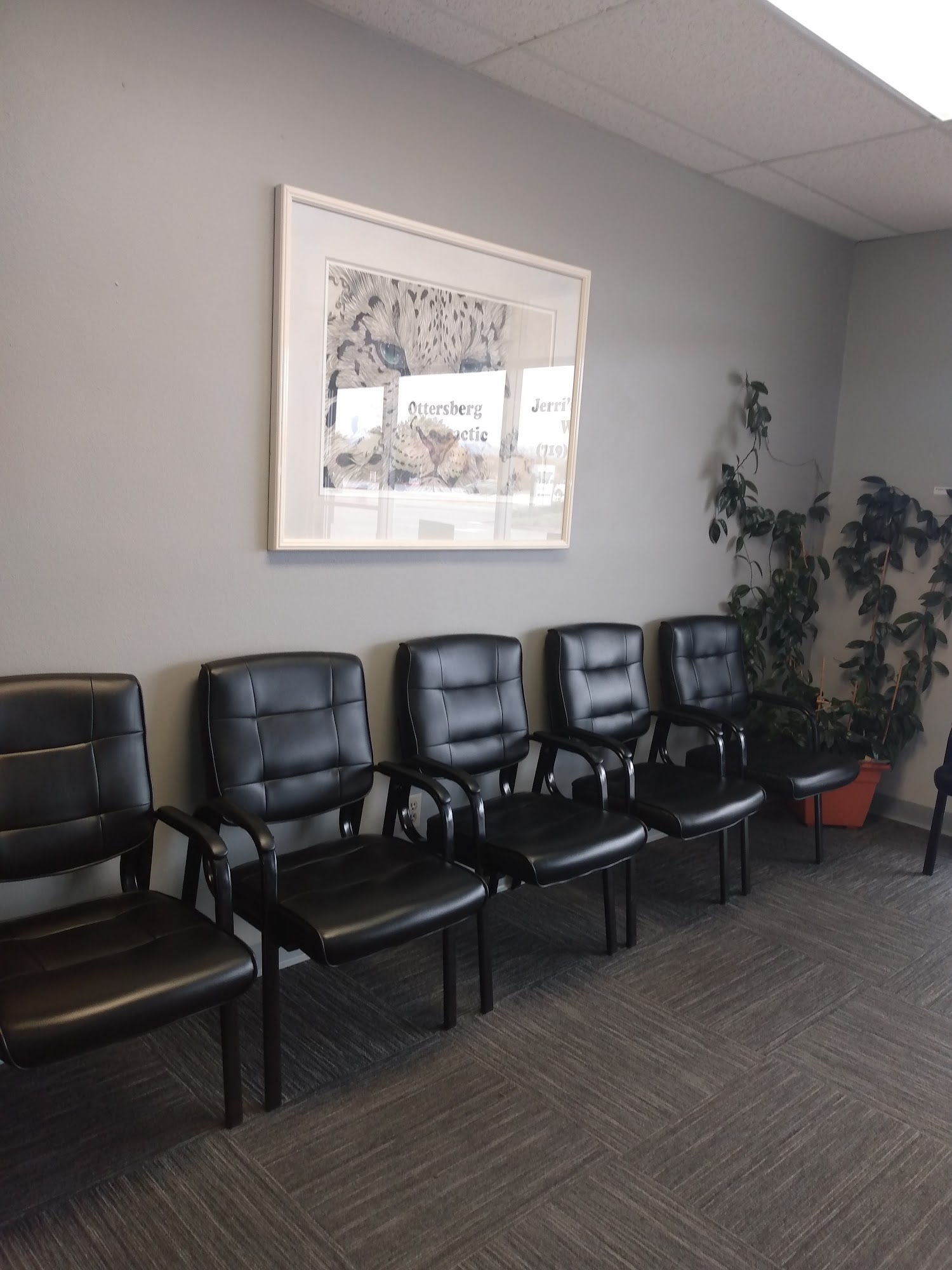 Ottersberg Chiropractic