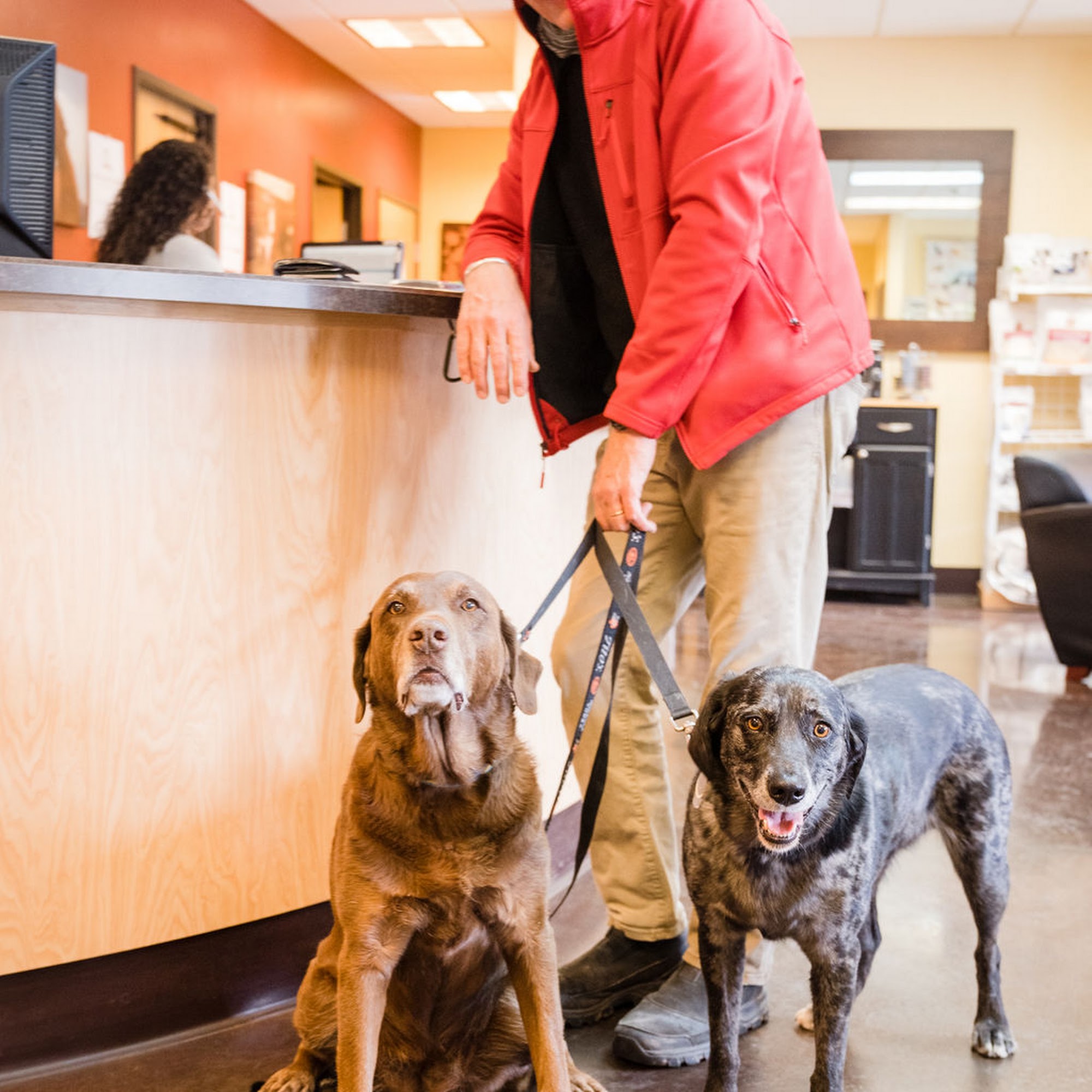 Alpine Animal Hospital Carbondale