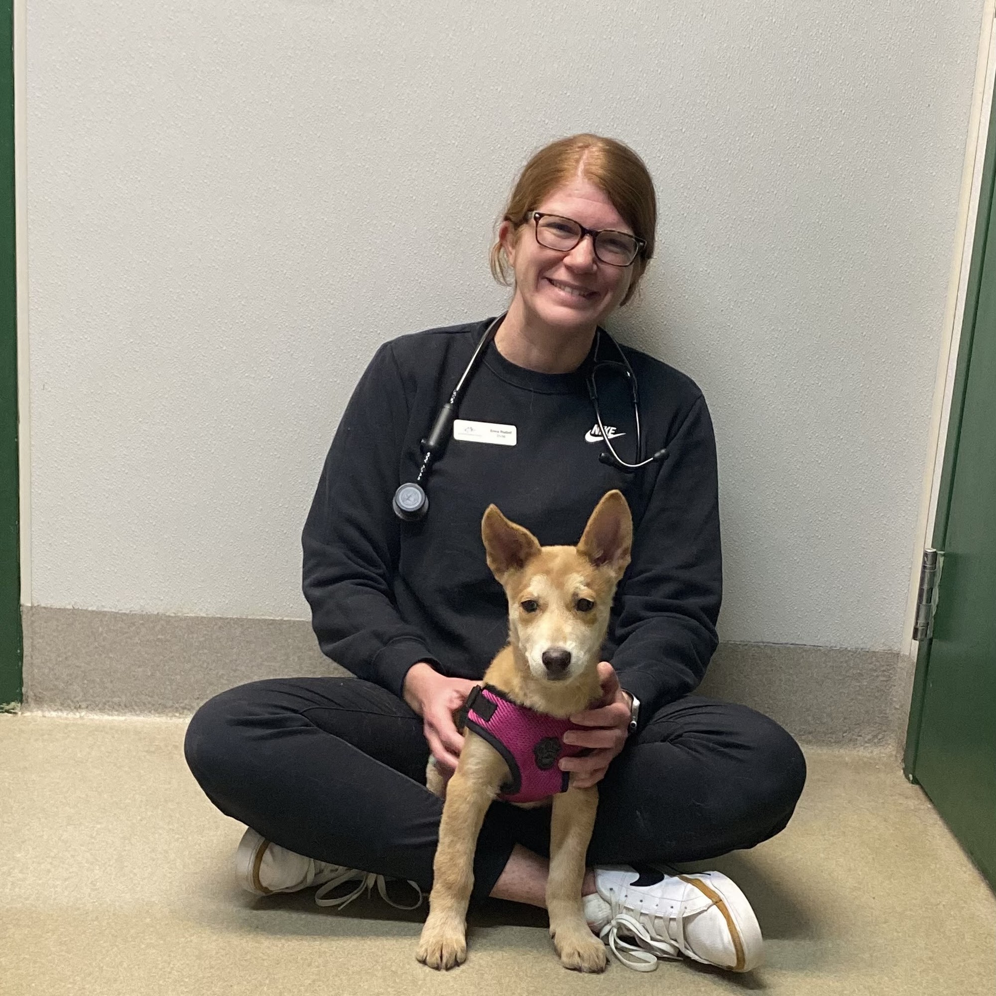 Plum Creek Veterinary Services Castle Rock