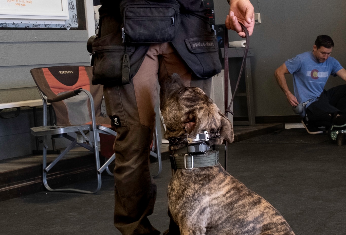 MOC K-9 Training Castle Rock