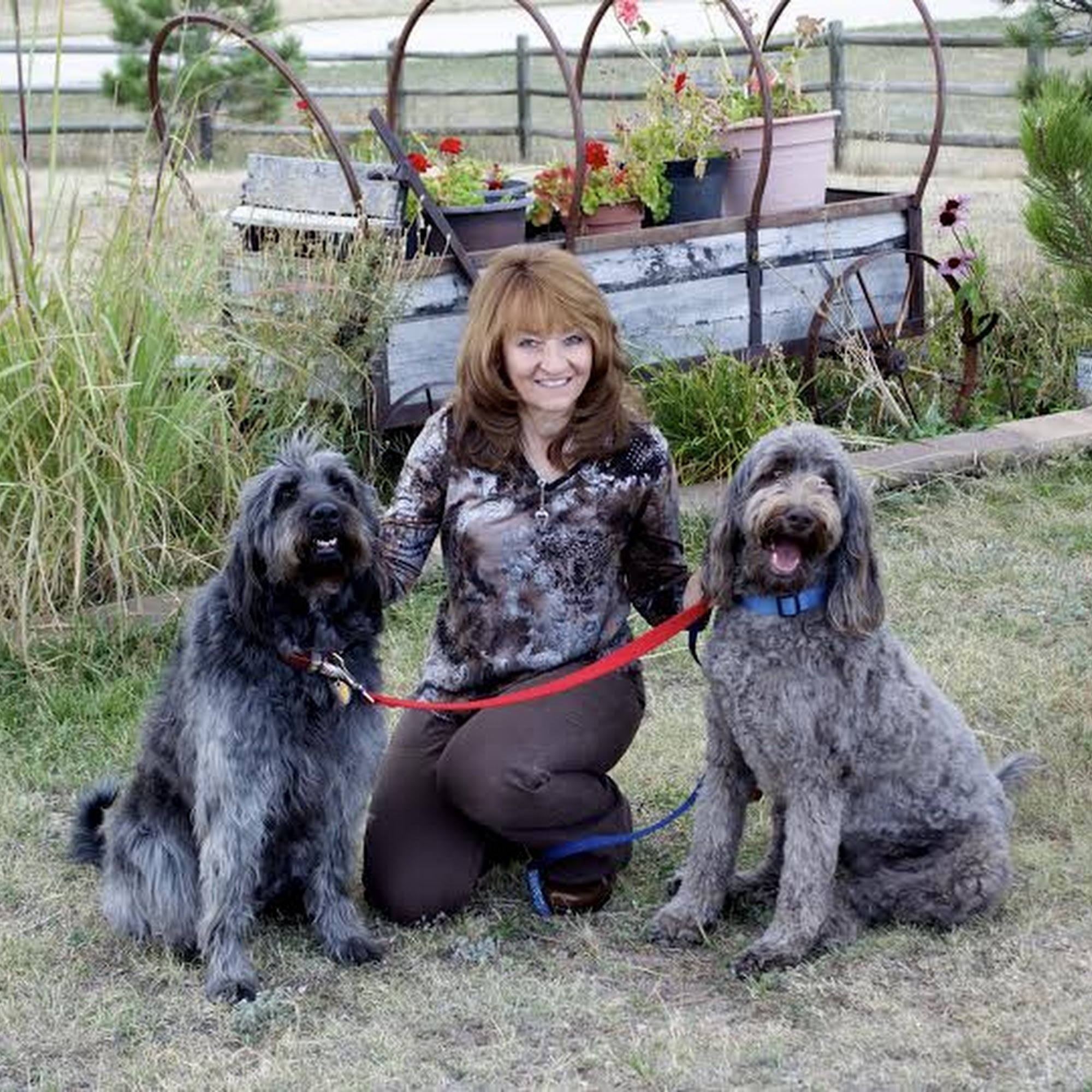 Positive Pup Training Castle Rock