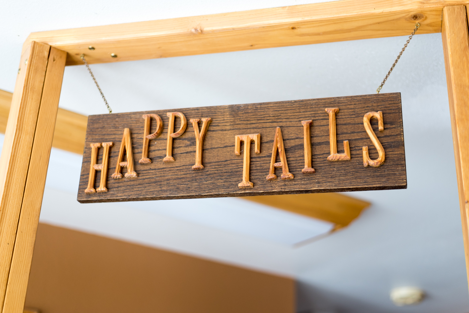 Happy Tails Pet Lodge Cedaredge