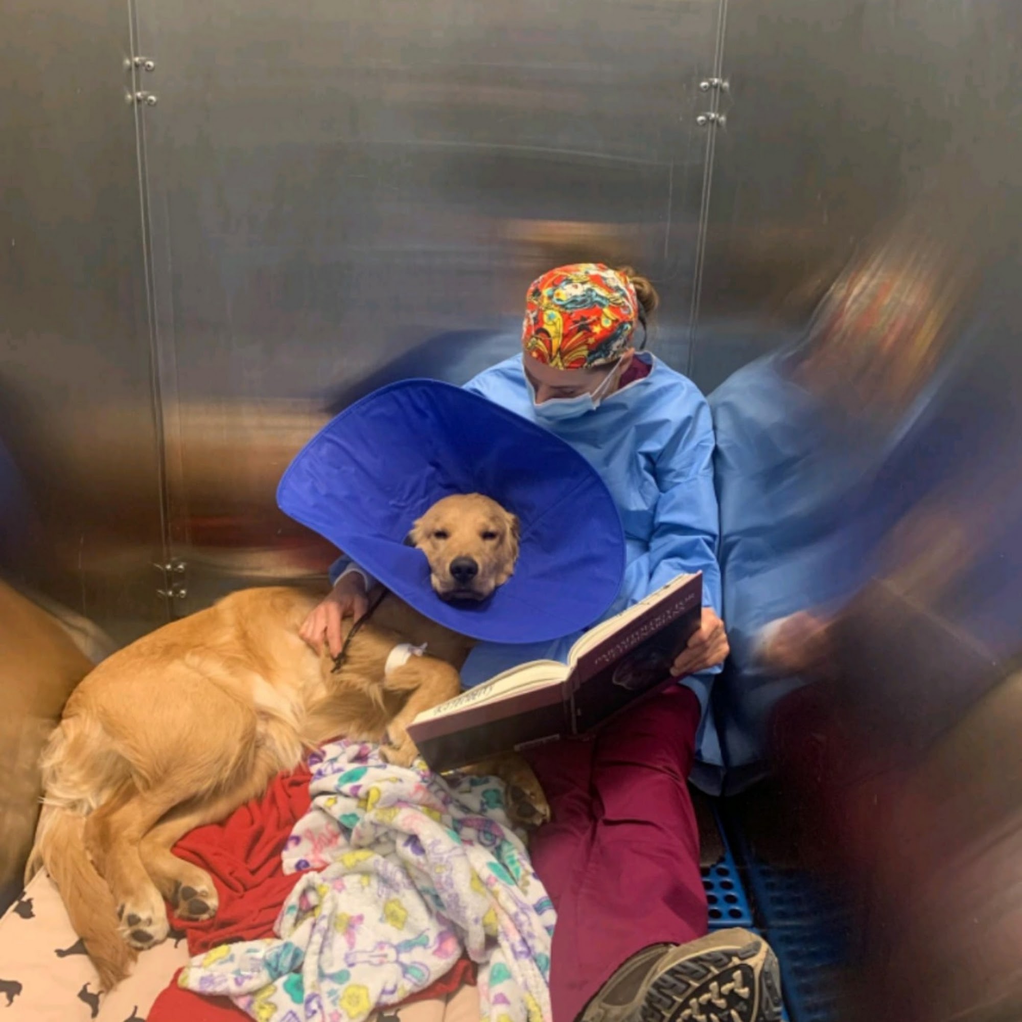 Cherry Knolls Veterinary Clinic Centennial