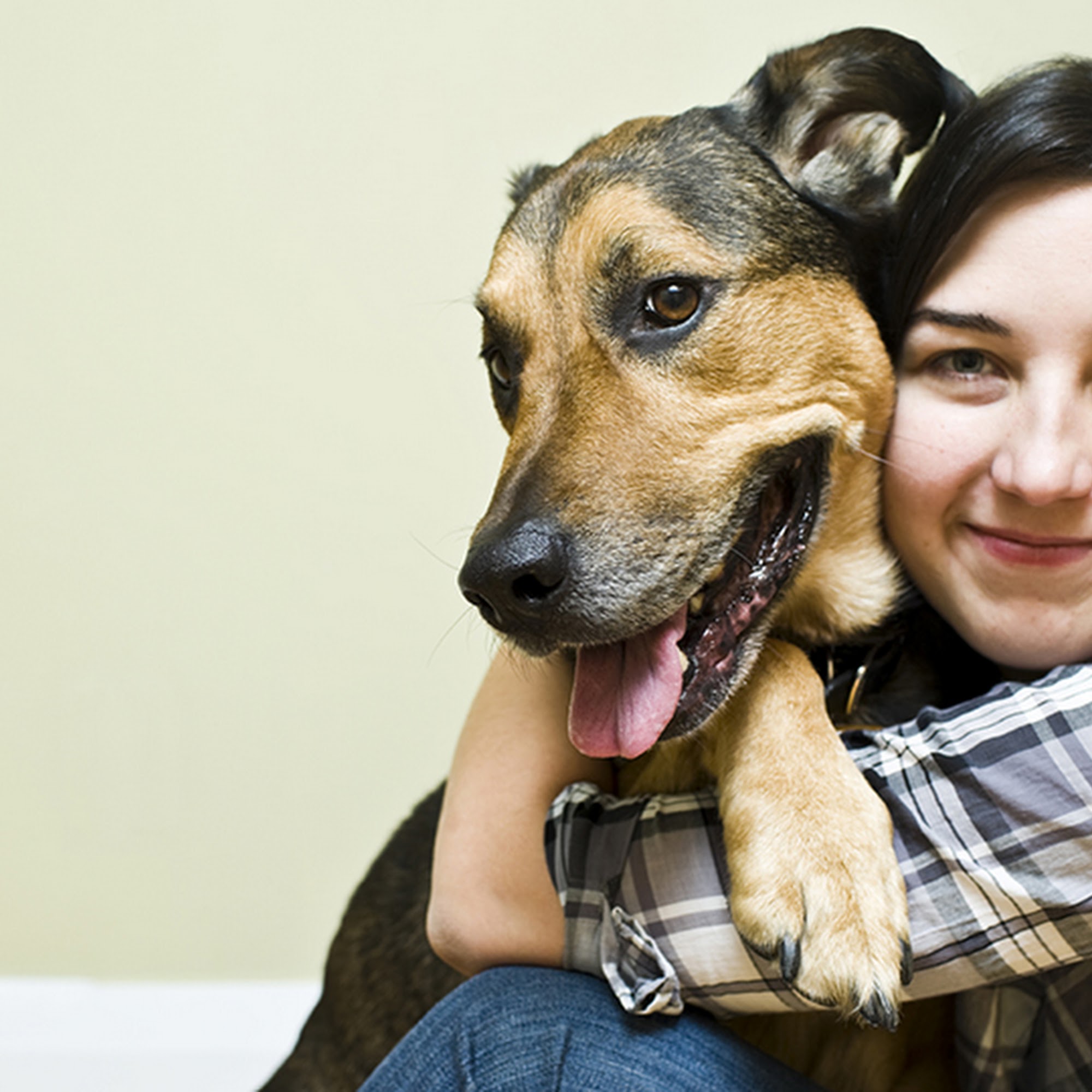 Aurora Animal Hospital Centennial